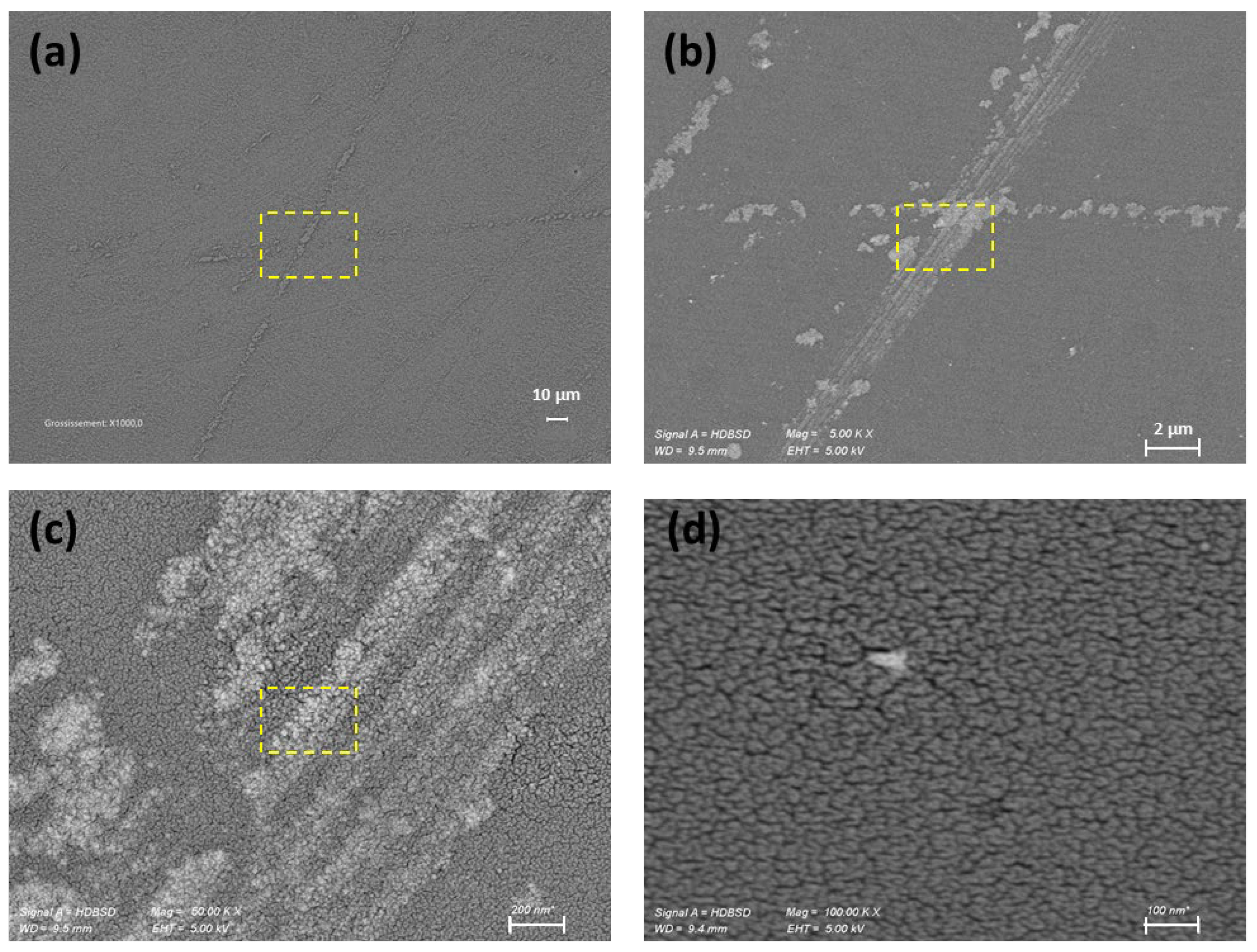 Nanomaterials 15 01391 g012