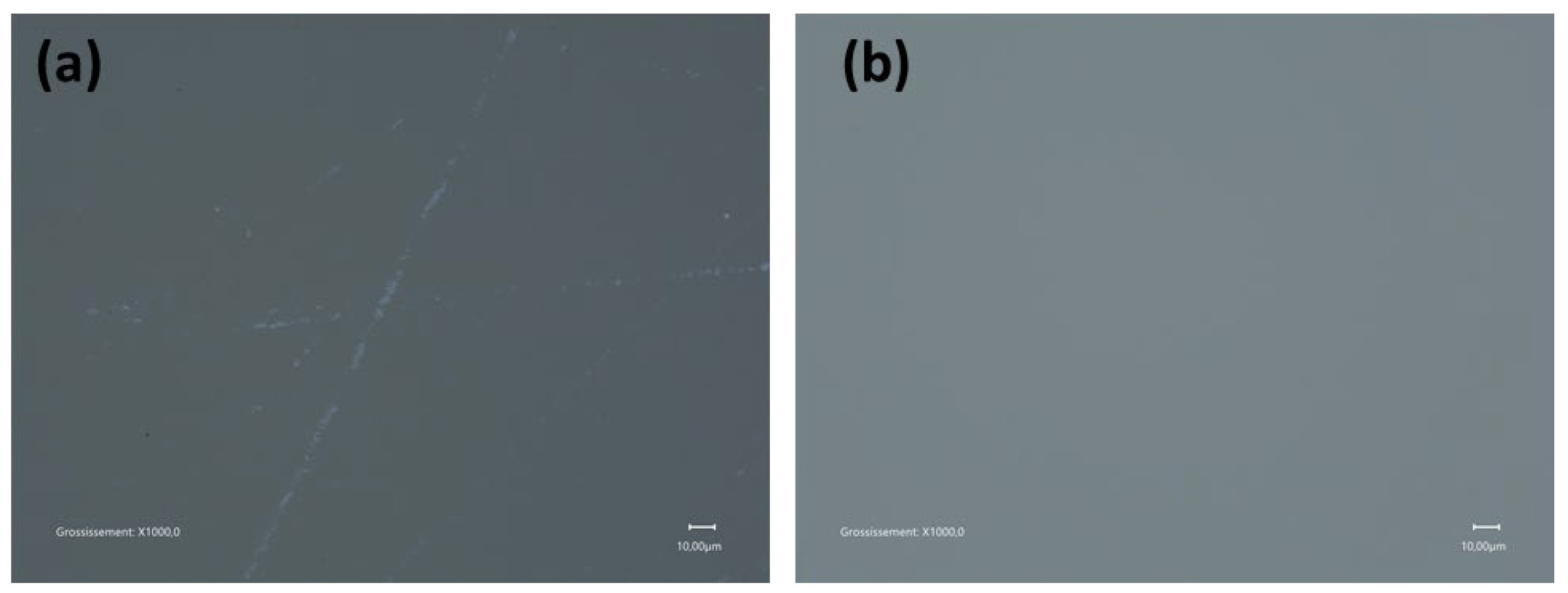 Nanomaterials 15 01391 g013