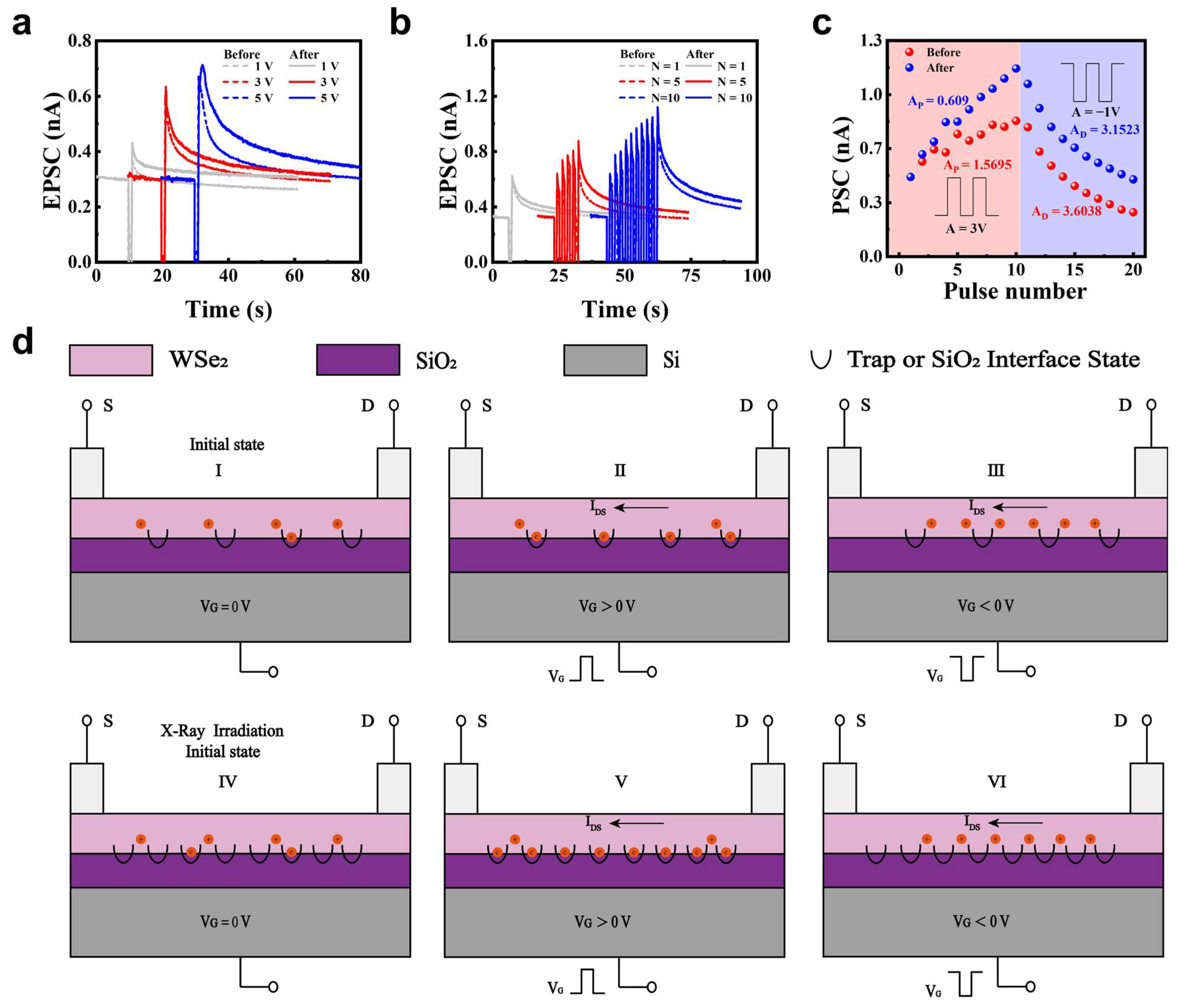 Nanomaterials 15 01408 g002 Nanomaterials 15 01408 g002