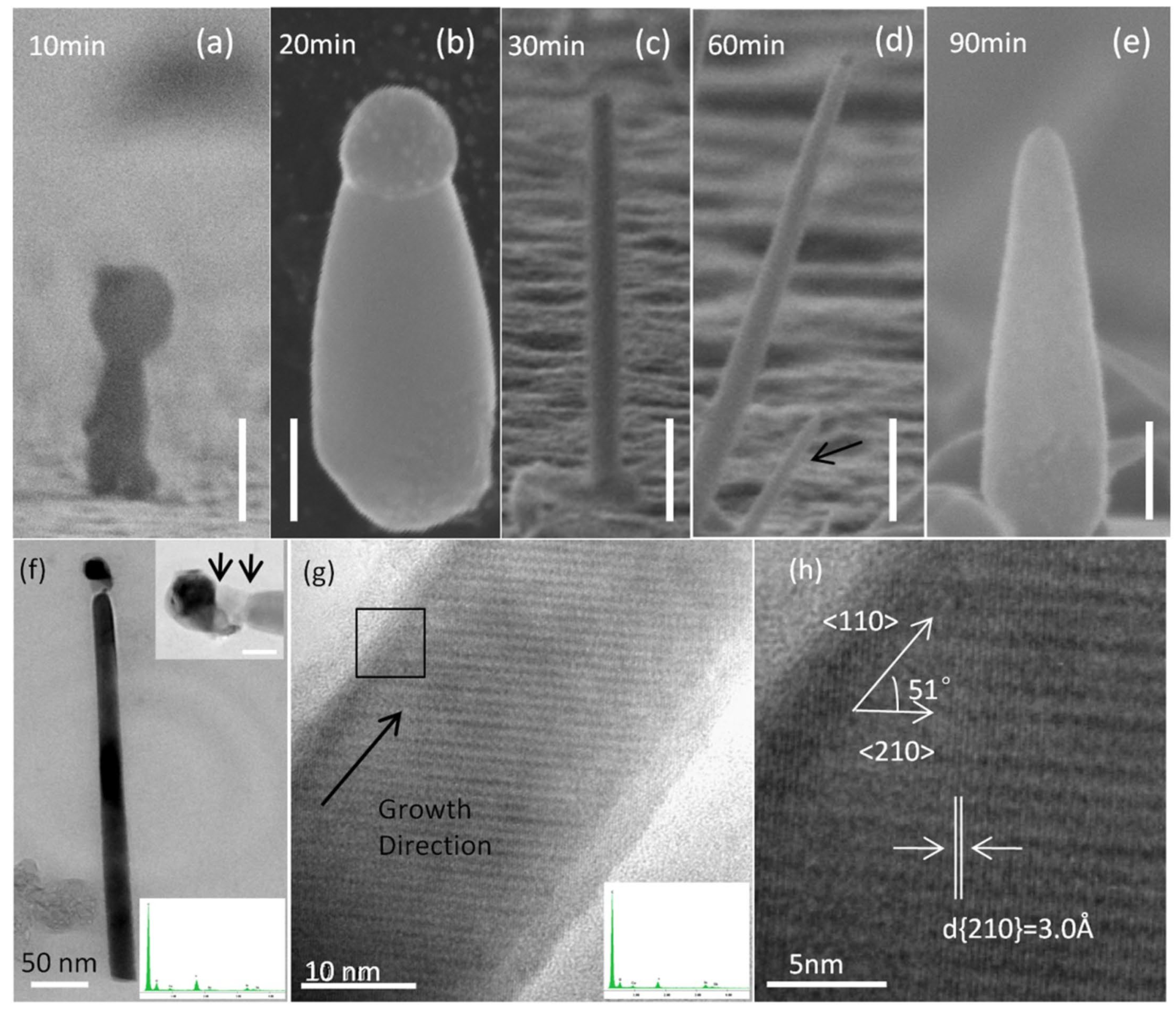 Nanomaterials 15 01436 g004 Nanomaterials 15 01436 g004