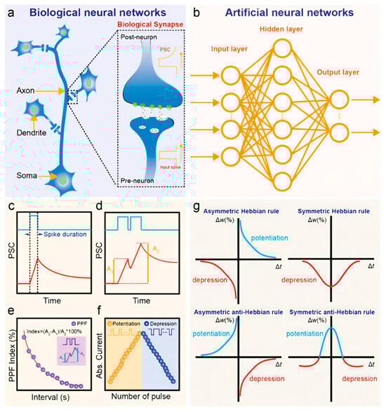 Nanomaterials 15 01481 g001