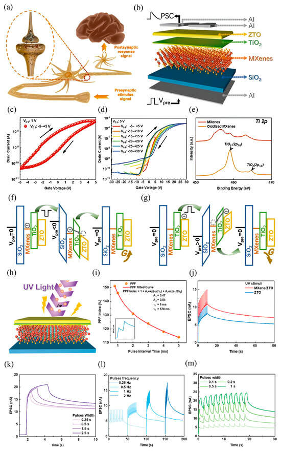 Nanomaterials 15 01481 g005