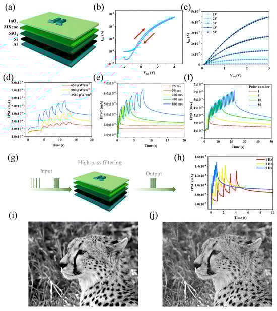 Nanomaterials 15 01481 g007