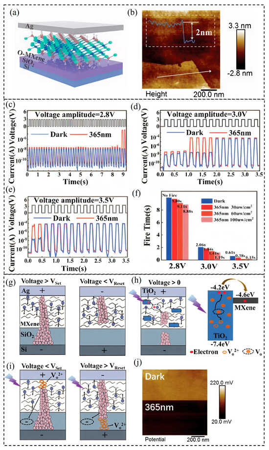 Nanomaterials 15 01481 g009