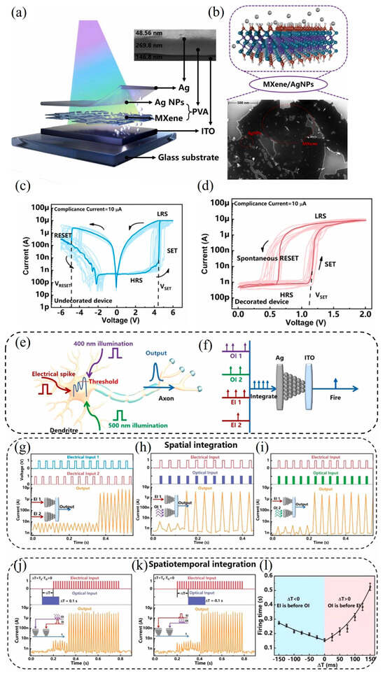 Nanomaterials 15 01481 g010