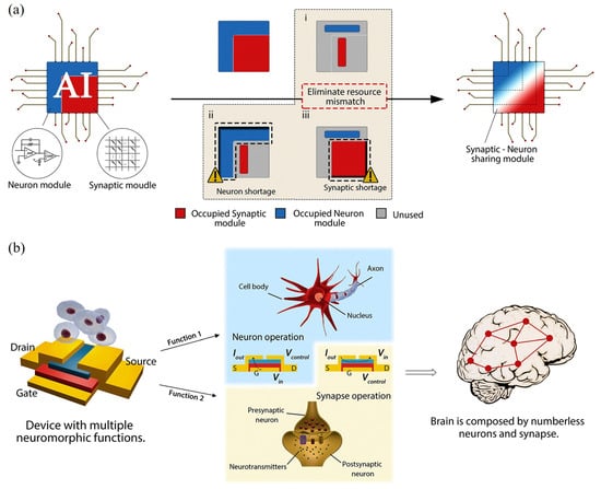 Nanomaterials 15 01481 g011