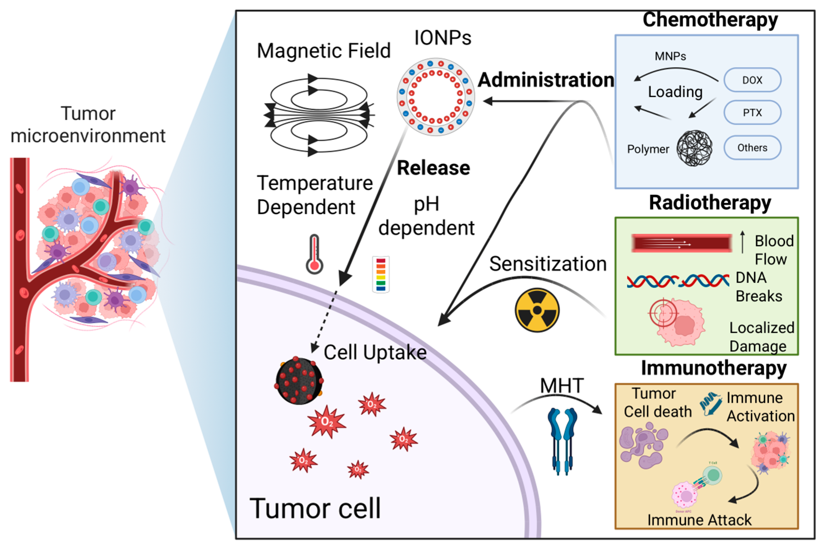 Nanomaterials 15 01519 g002 Nanomaterials 15 01519 g002