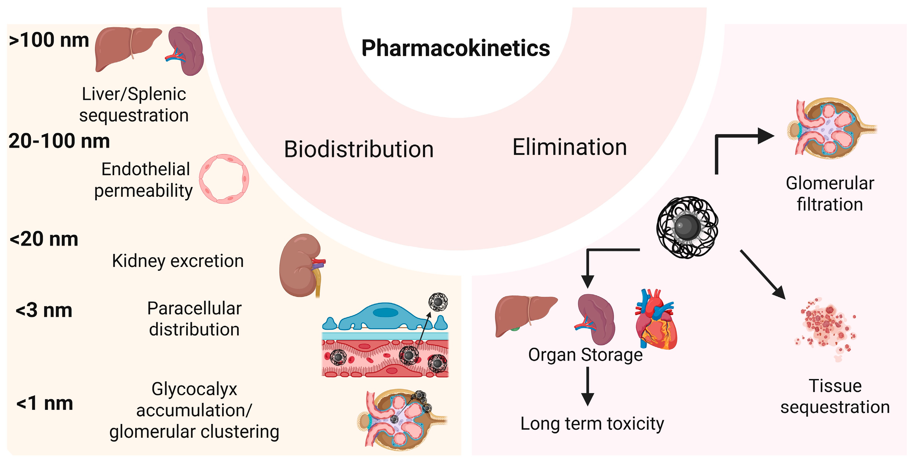 Nanomaterials 15 01519 g005 Nanomaterials 15 01519 g005