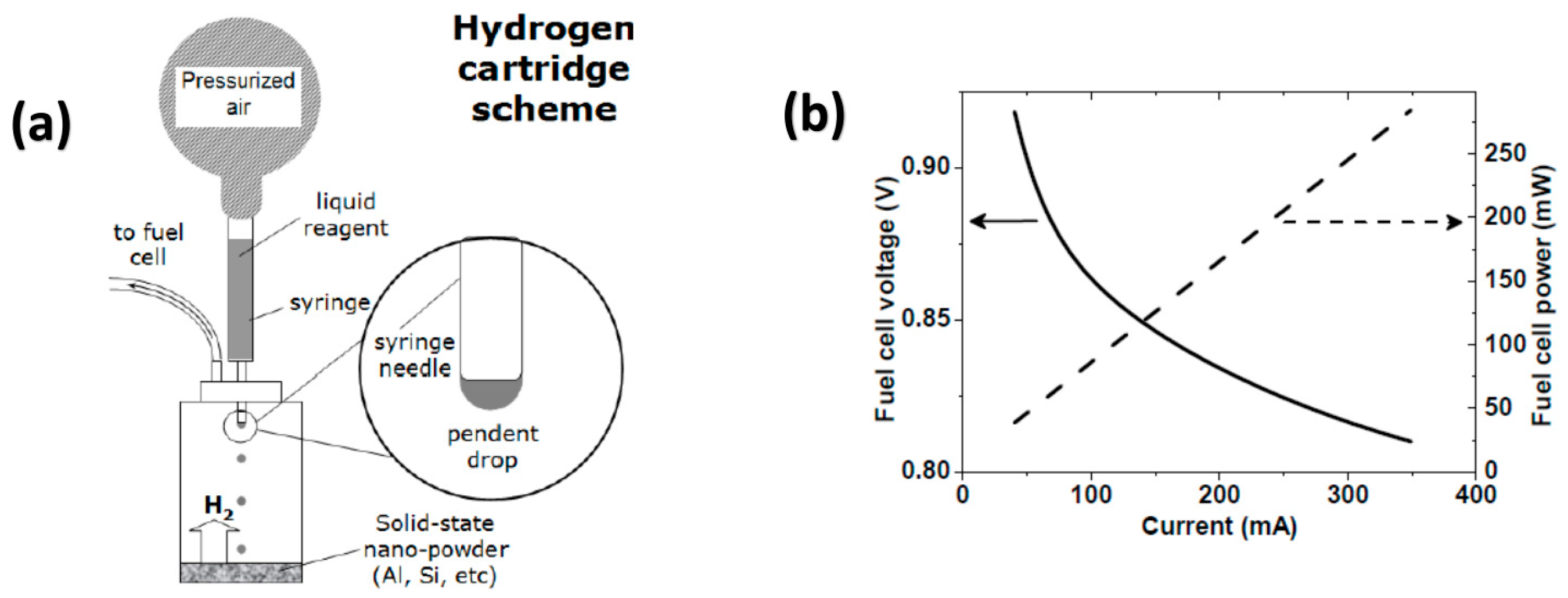 Nanomaterials 15 01531 g020