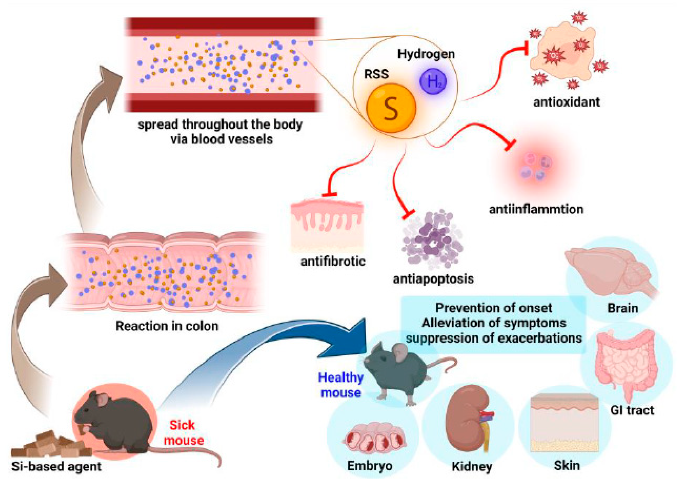 Nanomaterials 15 01531 g021