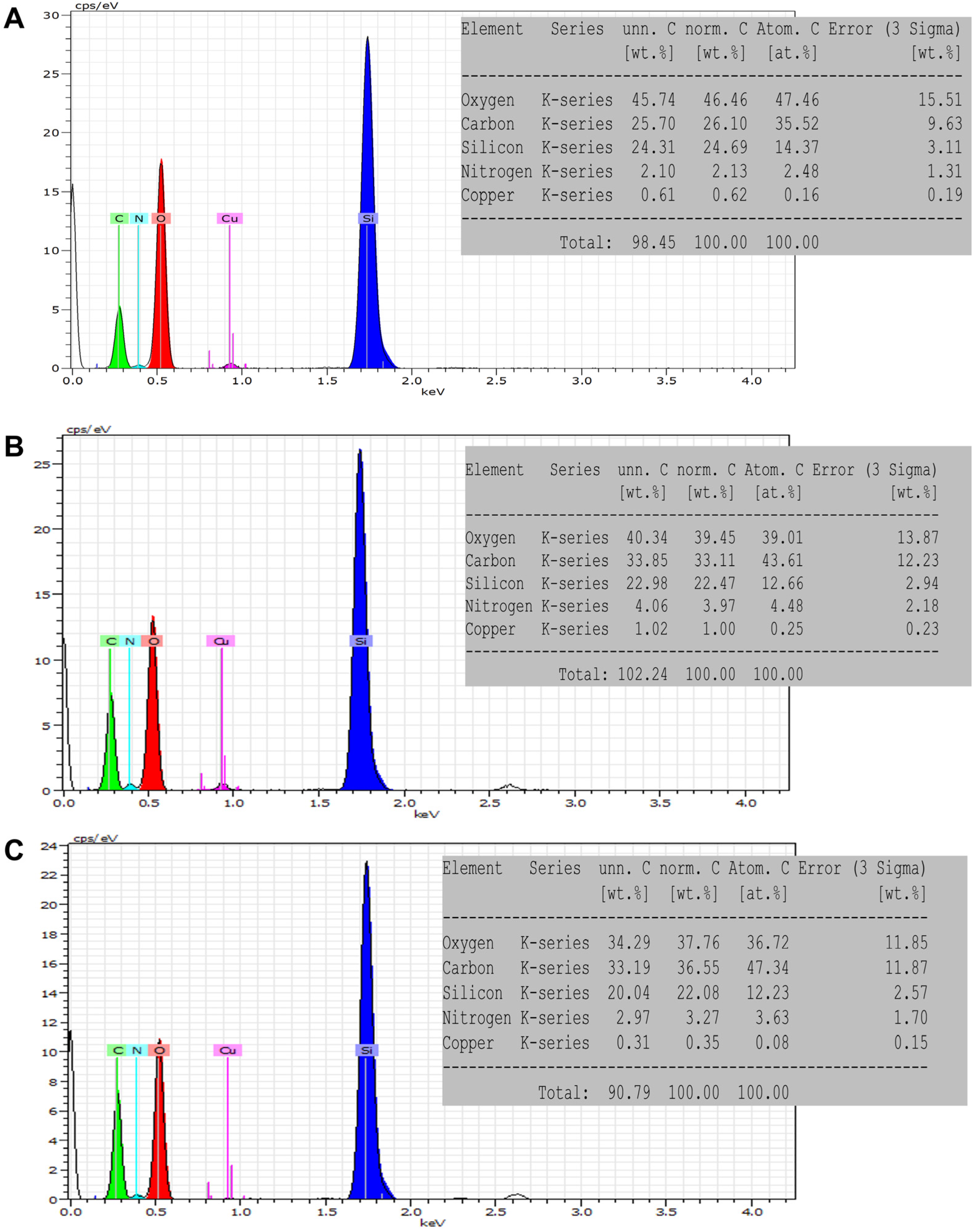 Nanomaterials 15 01547 g003 Nanomaterials 15 01547 g003