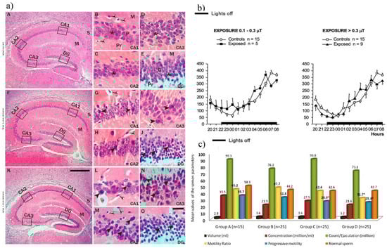 Nanomaterials 15 01558 g002
