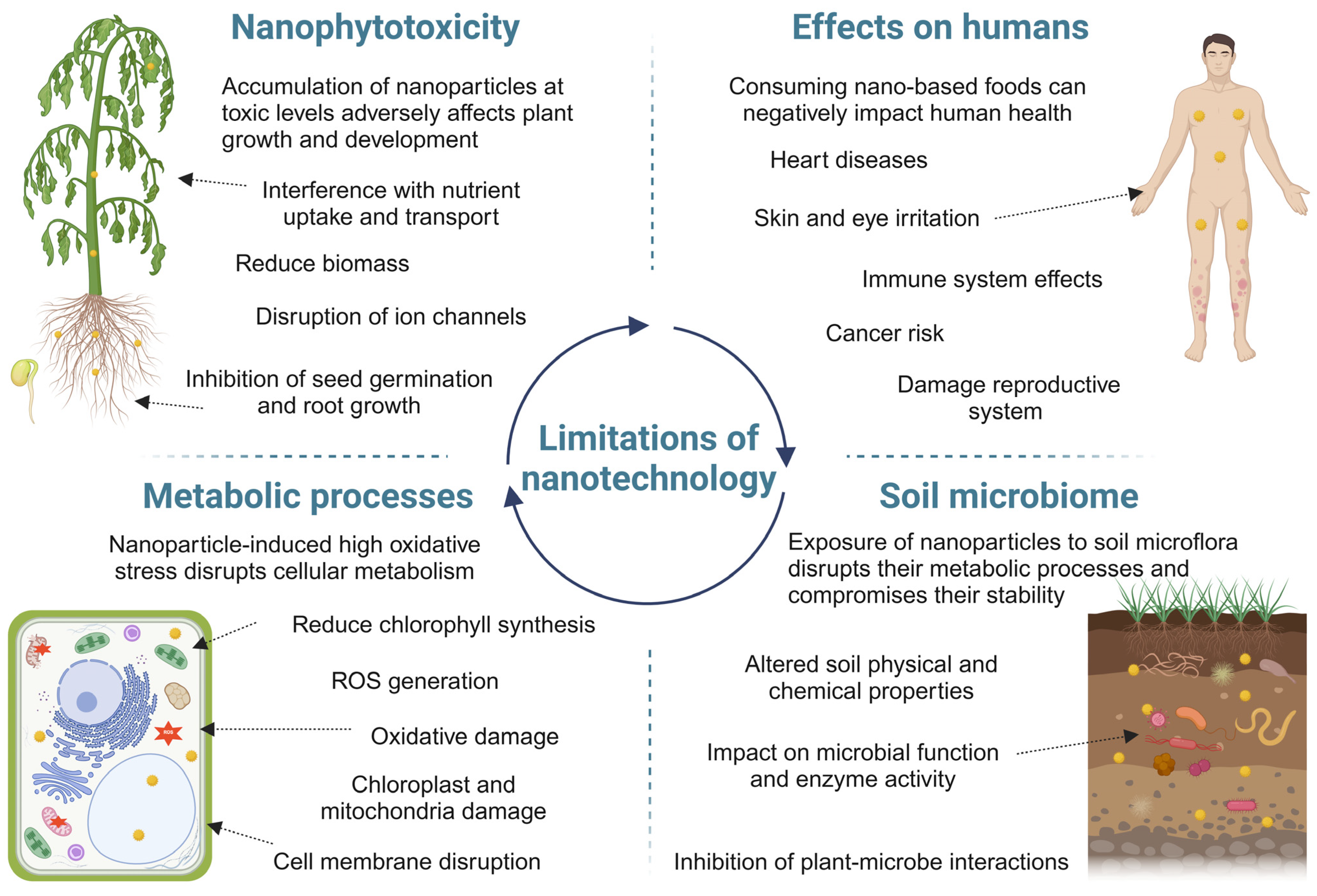 Nanomaterials 15 01588 g005 Nanomaterials 15 01588 g005