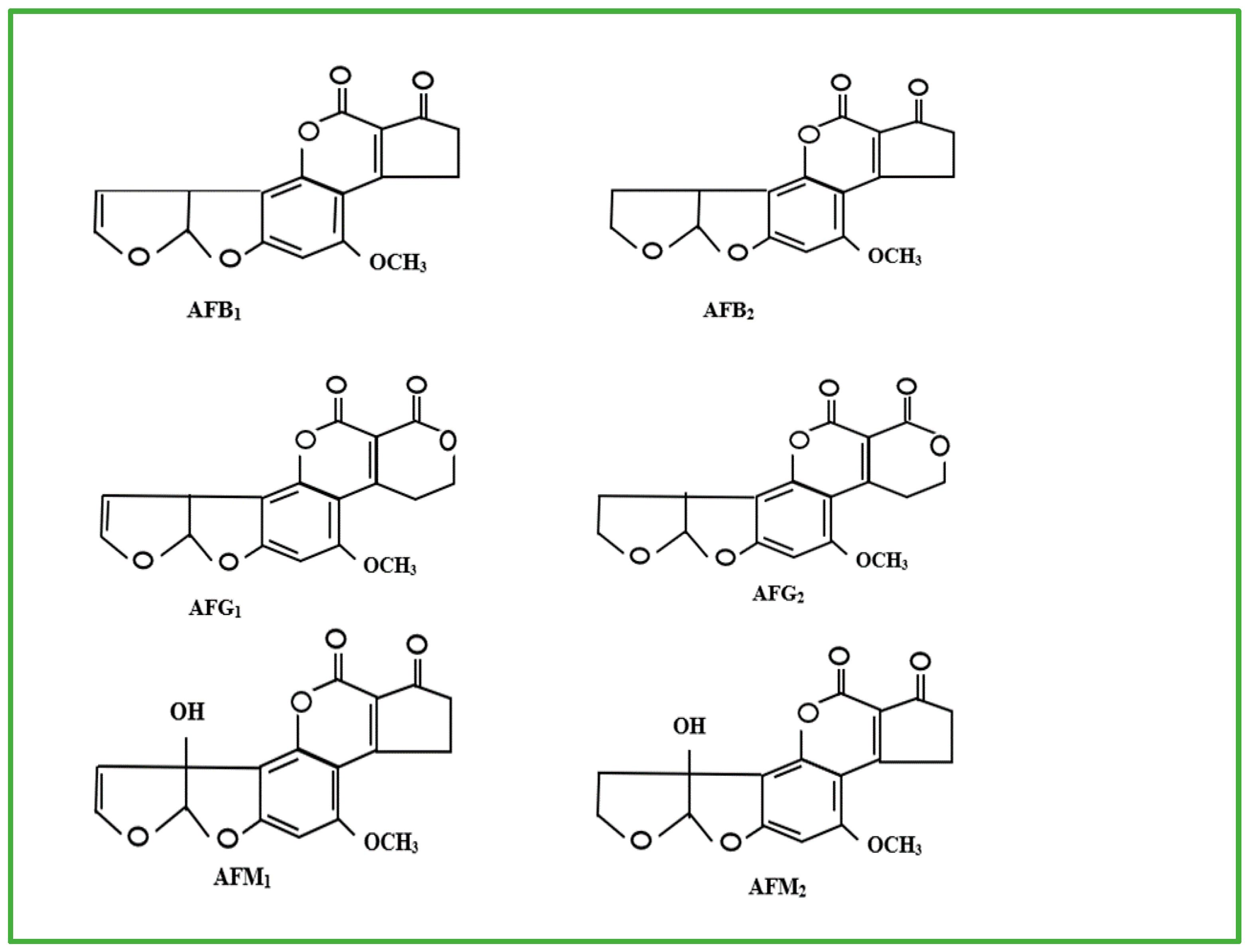 Nanomaterials 15 01604 g001