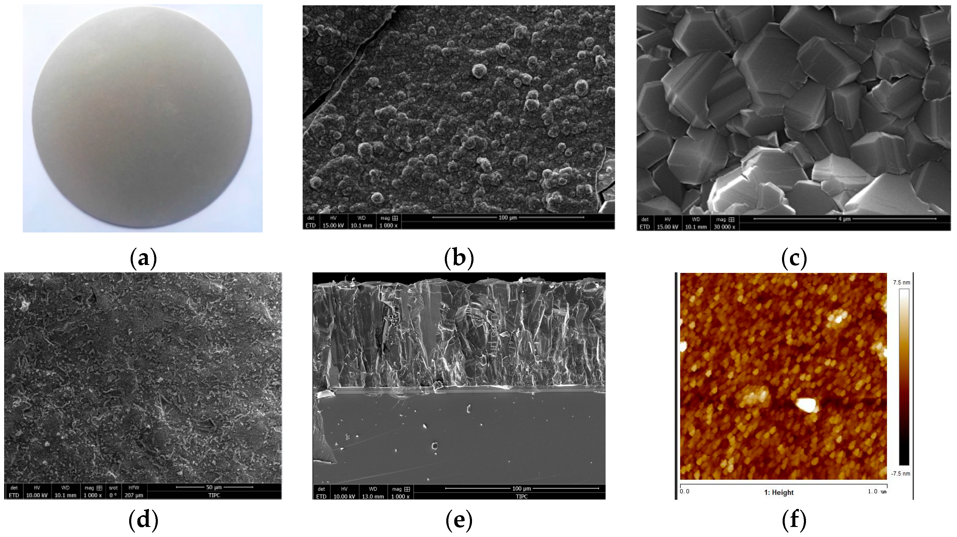Nanomaterials 15 01606 g001