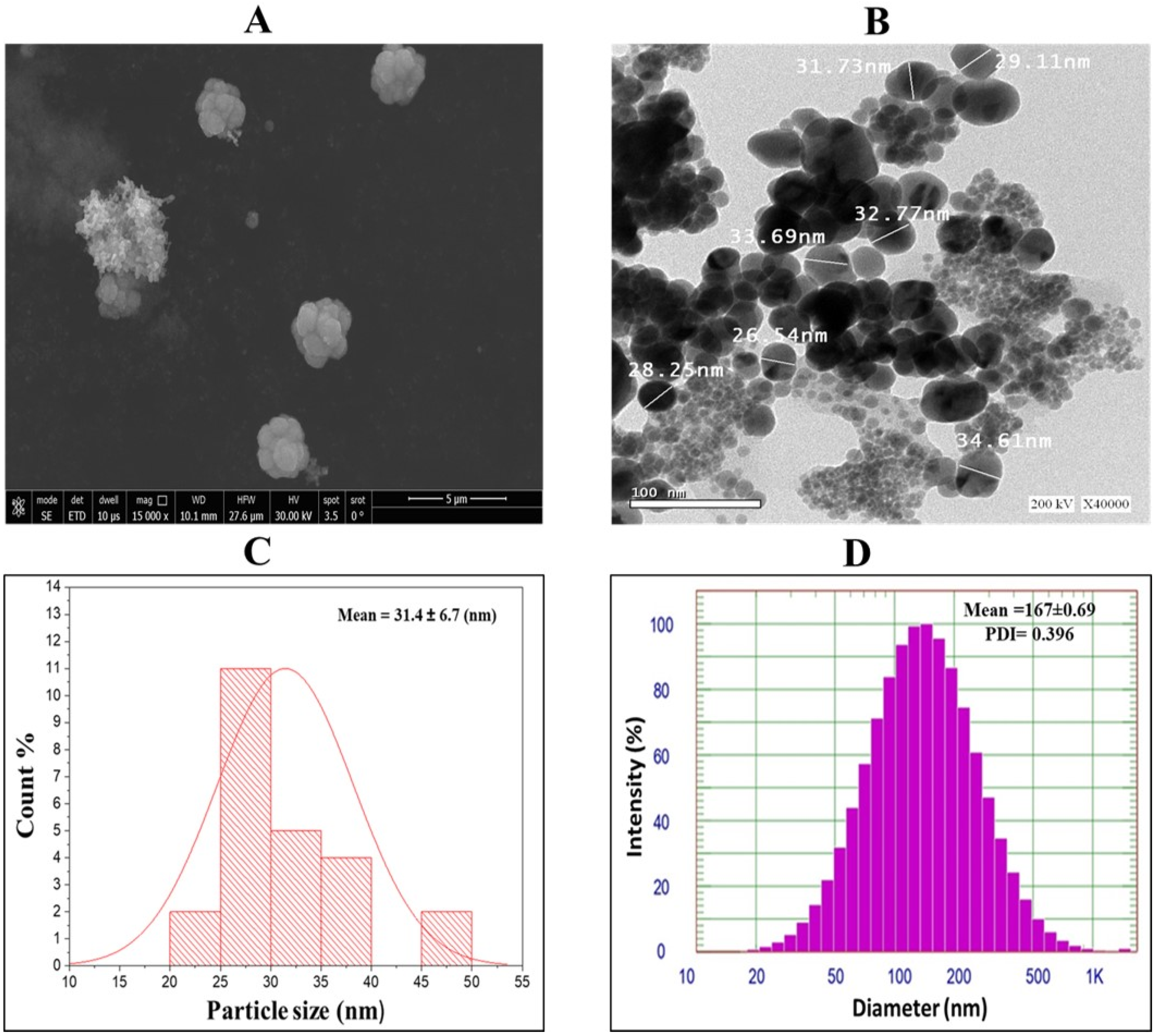 Nanomaterials 15 01610 g003