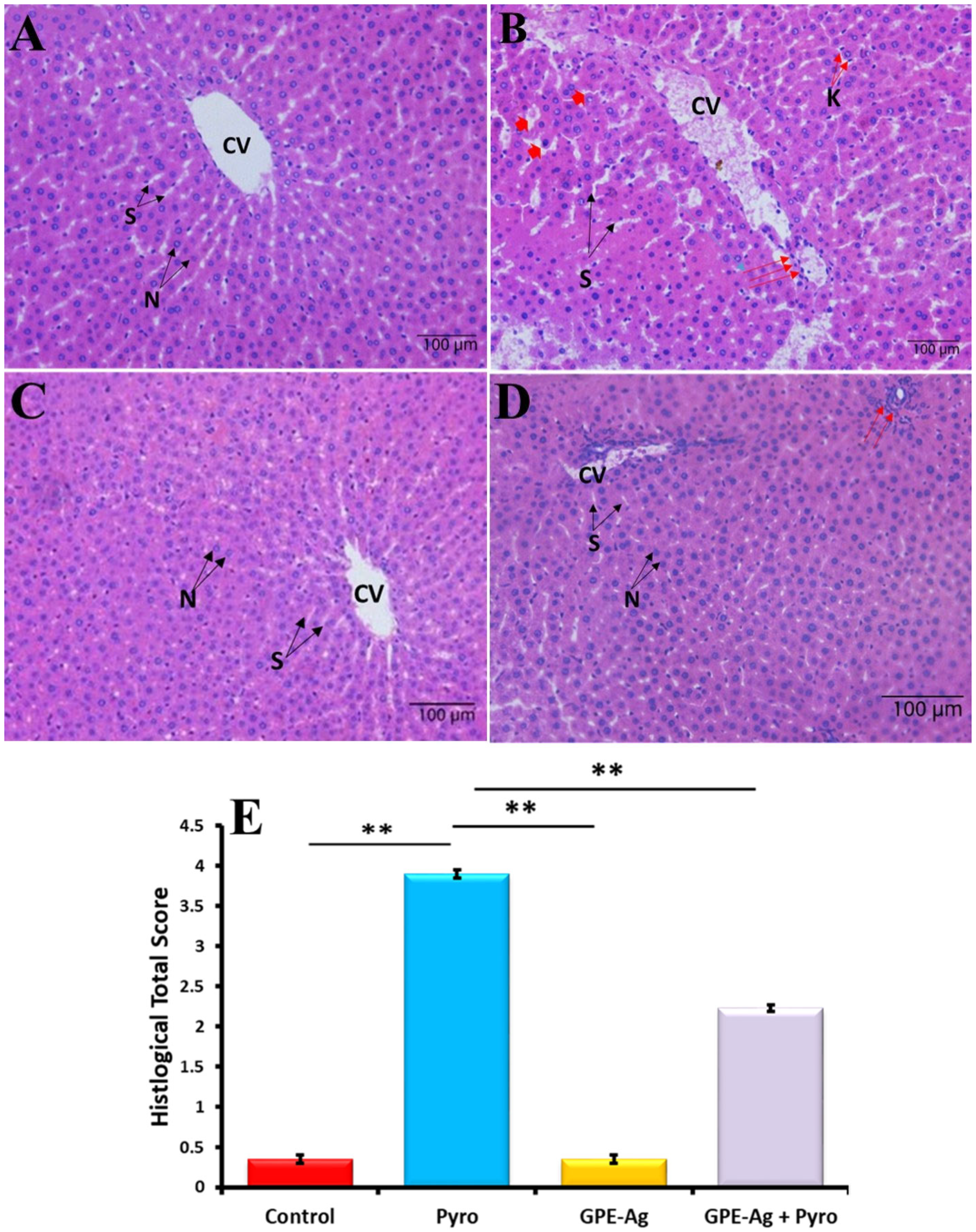 Nanomaterials 15 01610 g010
