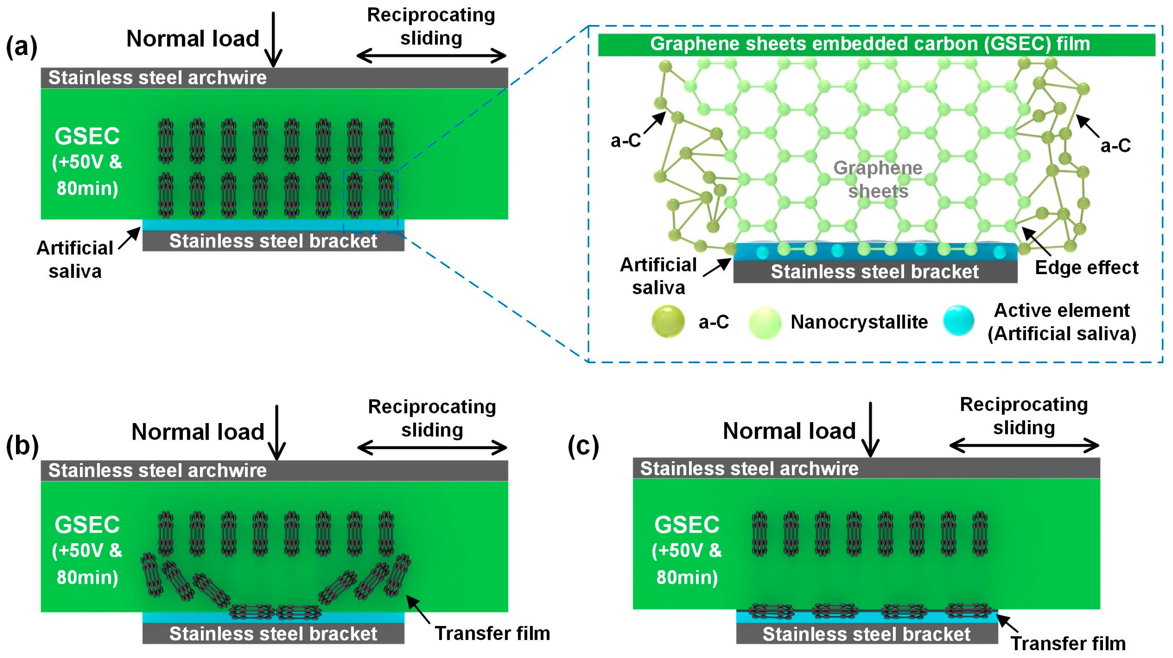 Nanomaterials 15 01615 g010