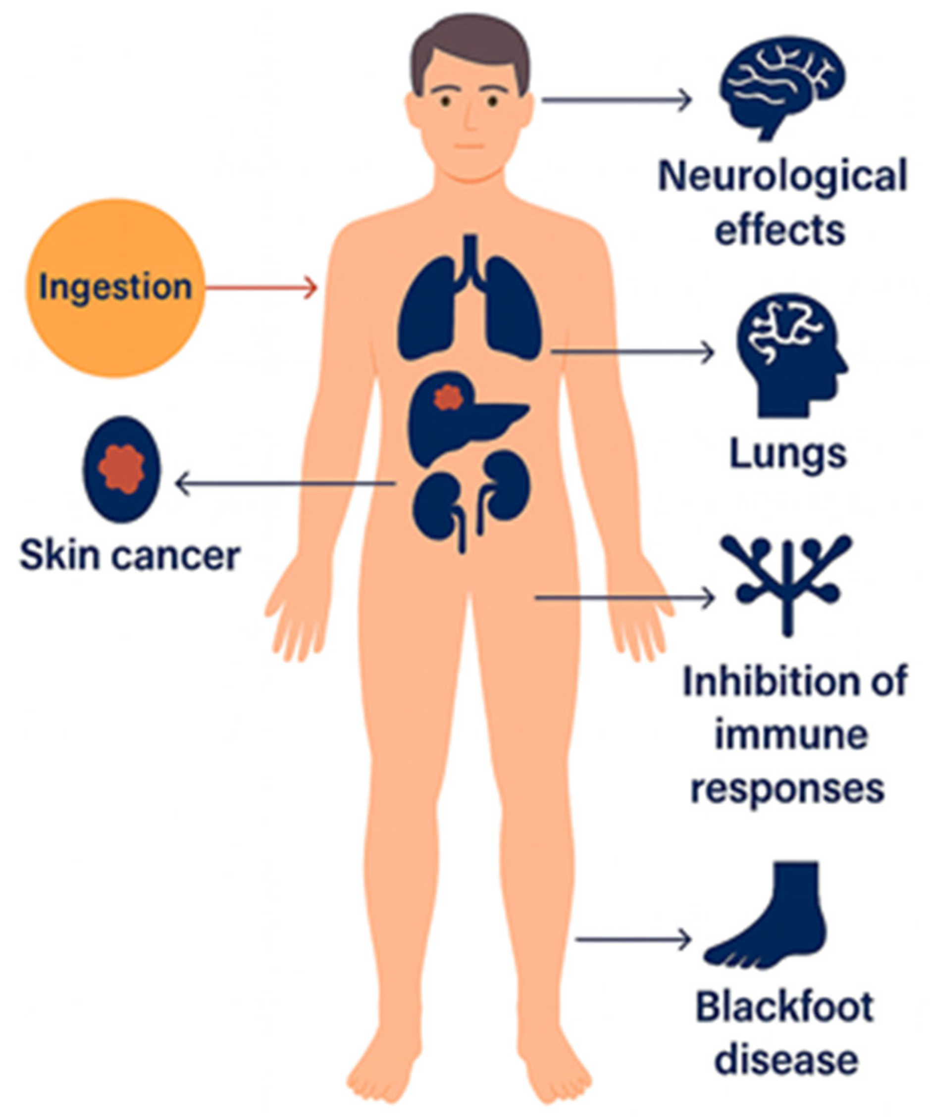 Nanomaterials 15 01621 g002
