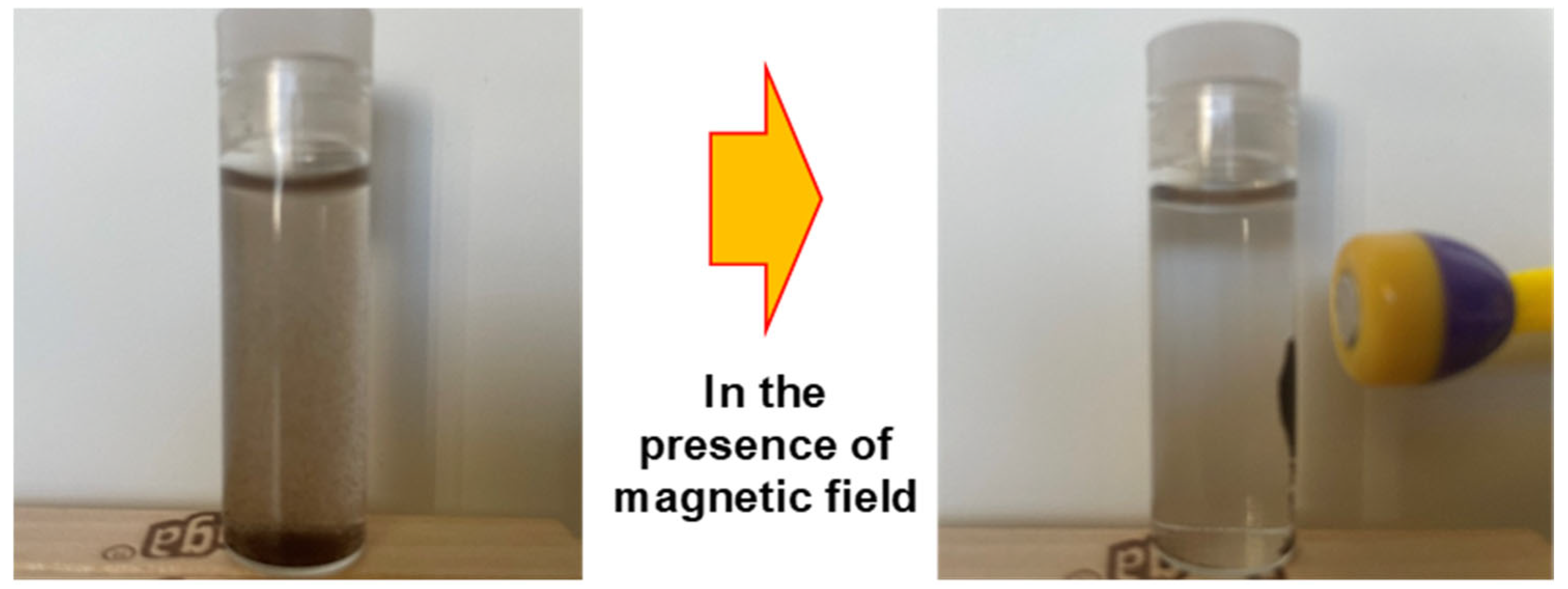 Nanomaterials 15 01621 g012