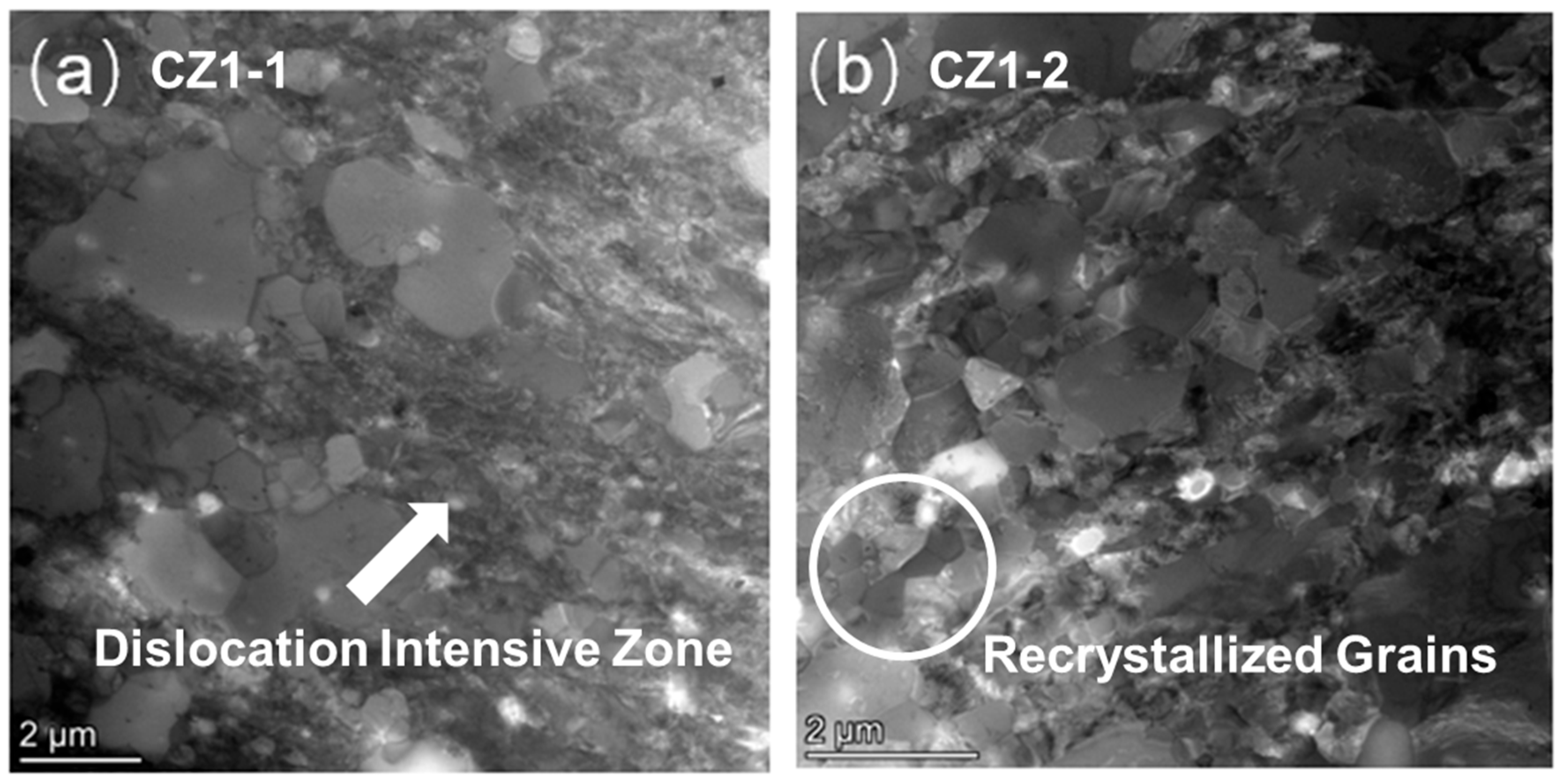 Nanomaterials 15 01624 g001 Nanomaterials 15 01624 g001