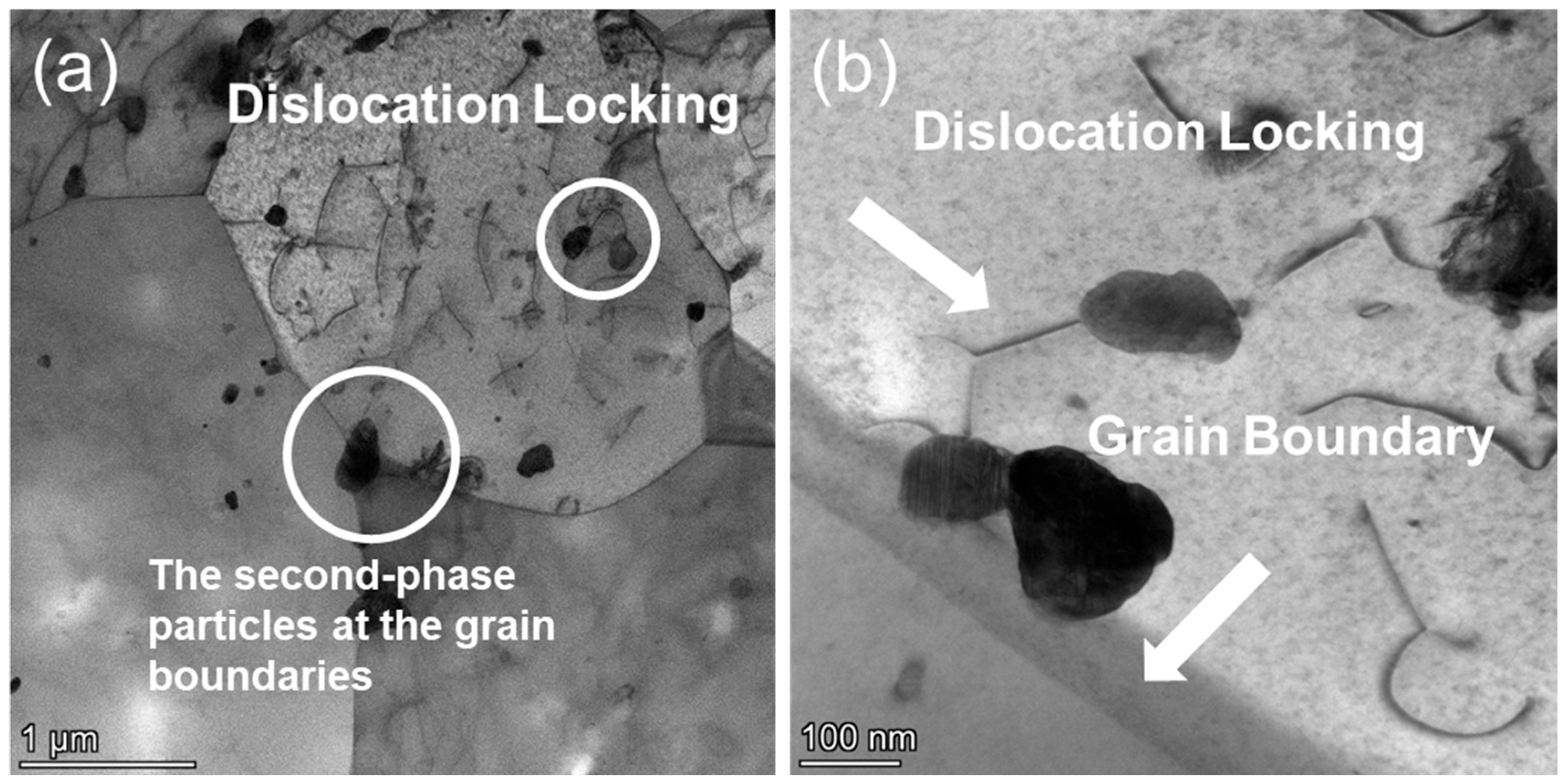 Nanomaterials 15 01624 g009 Nanomaterials 15 01624 g009
