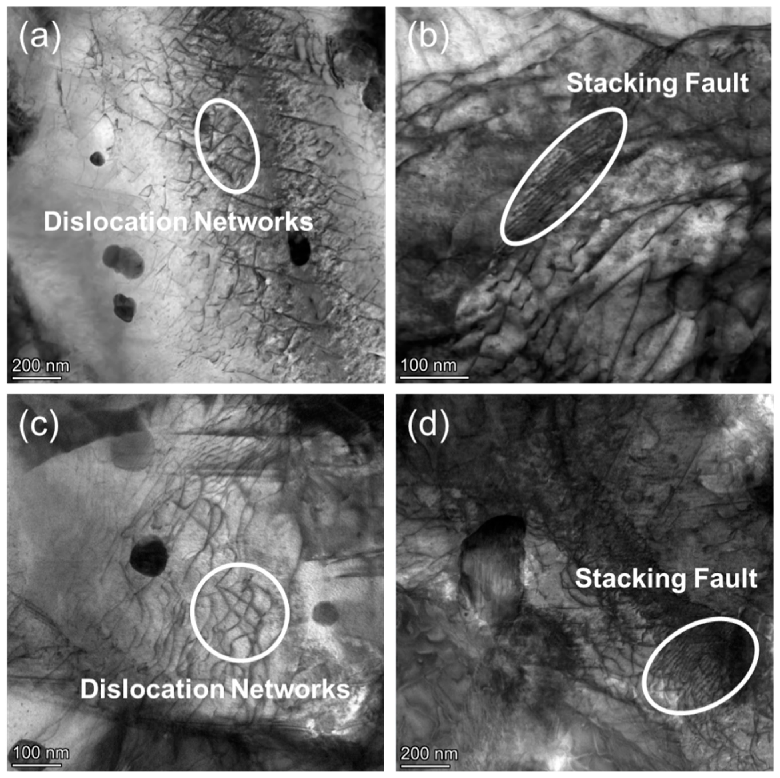 Nanomaterials 15 01624 g010 Nanomaterials 15 01624 g010