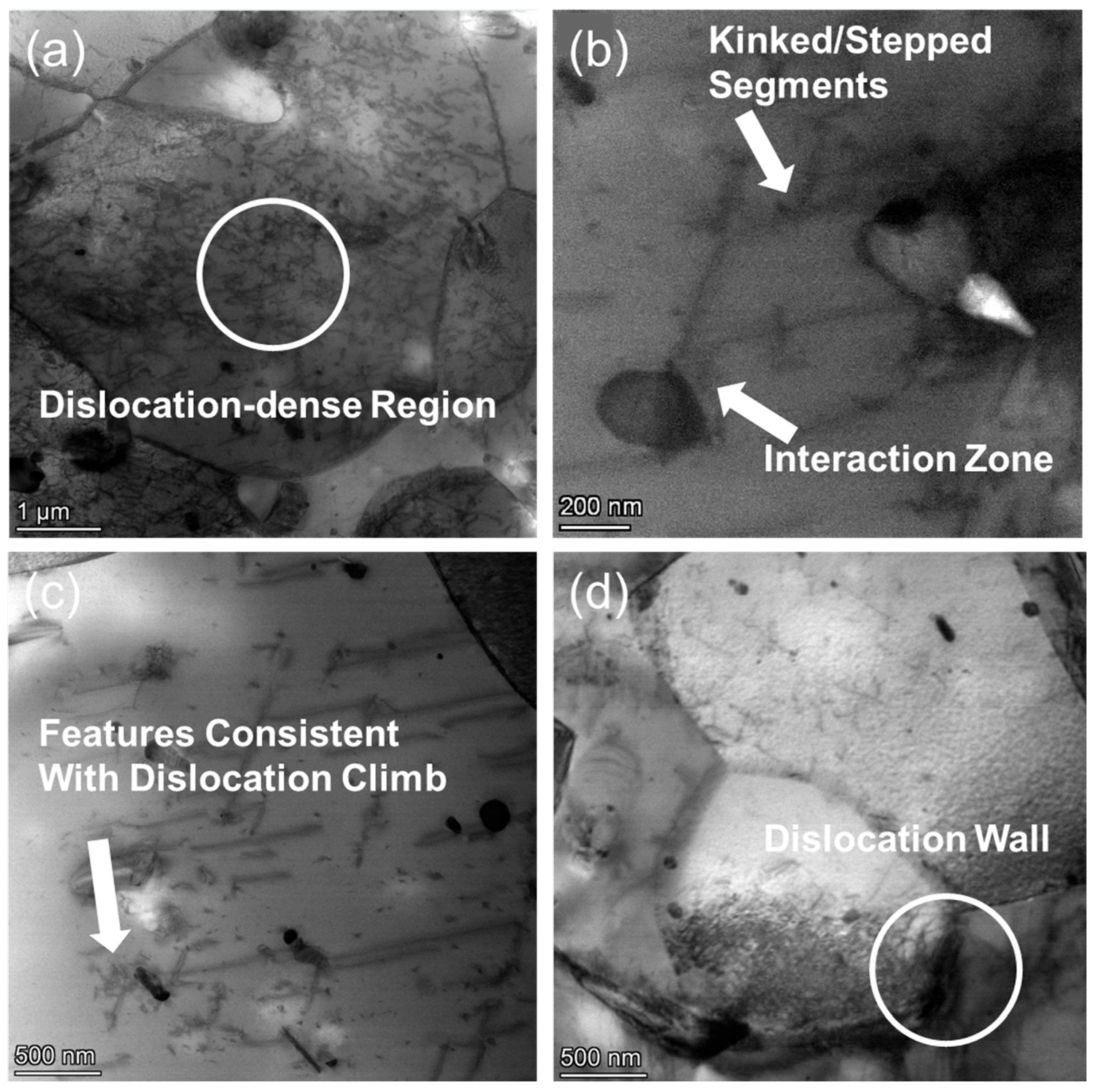 Nanomaterials 15 01624 g011 Nanomaterials 15 01624 g011
