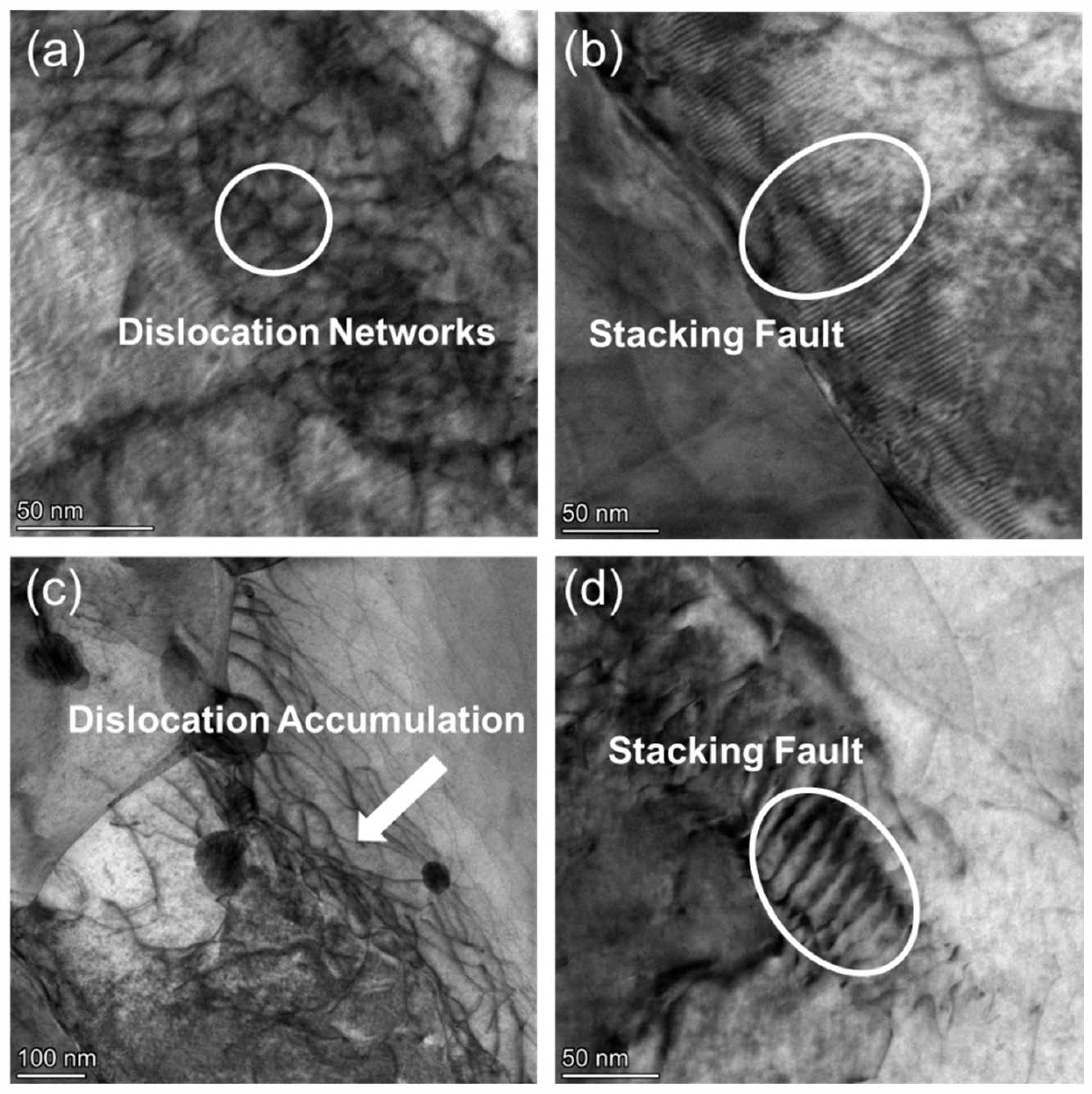 Nanomaterials 15 01624 g012 Nanomaterials 15 01624 g012
