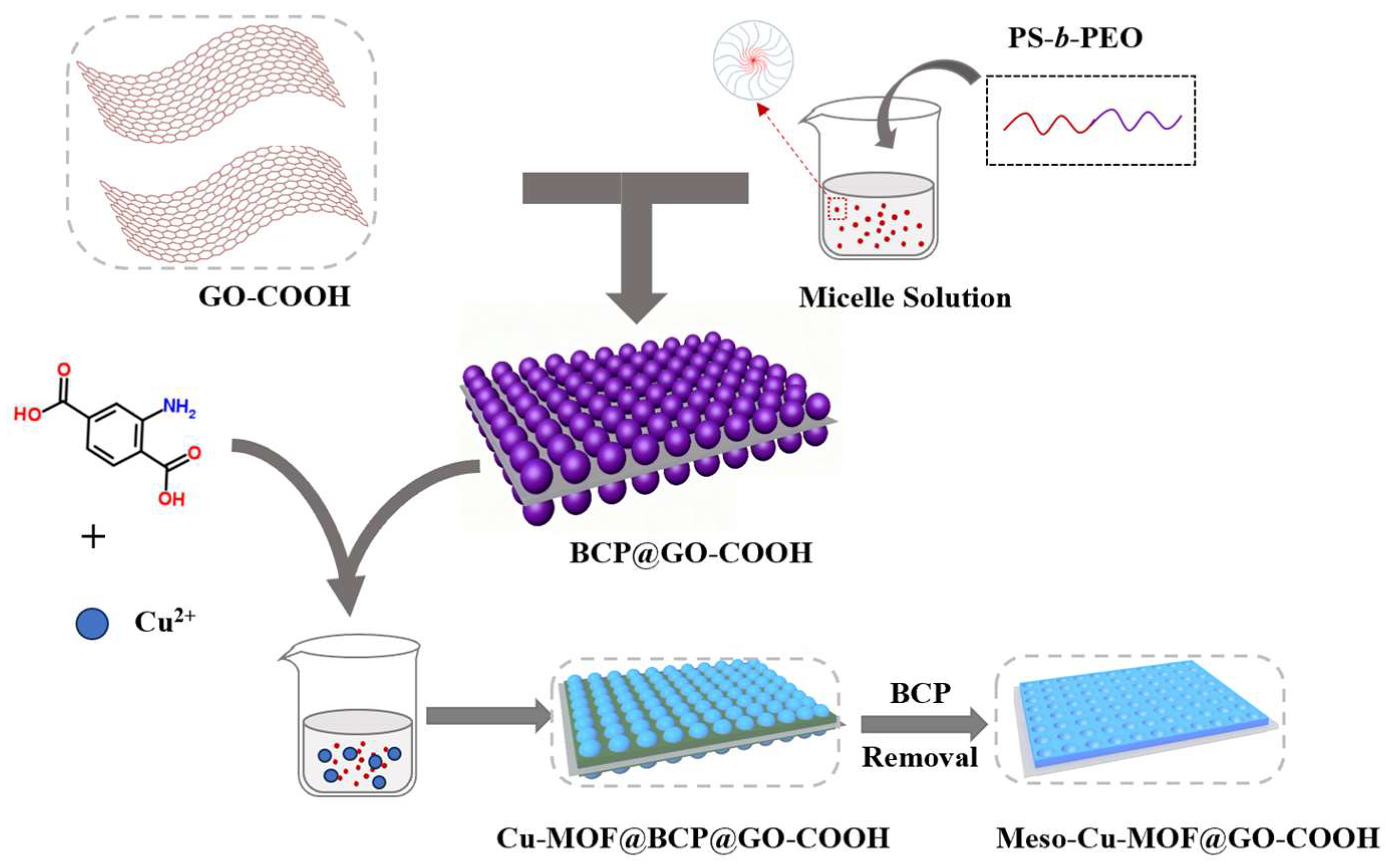 Nanomaterials 15 01628 g001