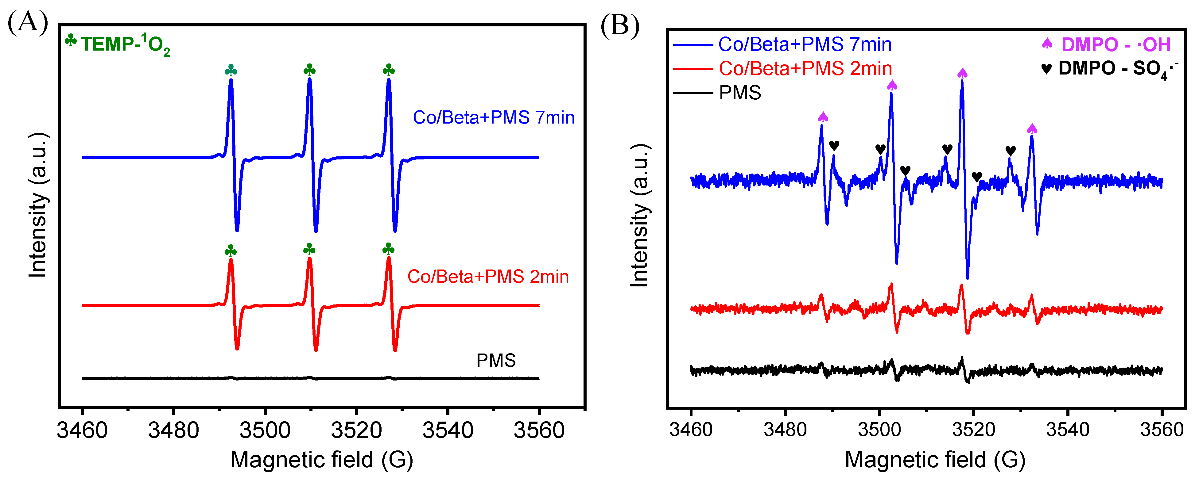 Nanomaterials 15 01630 g007