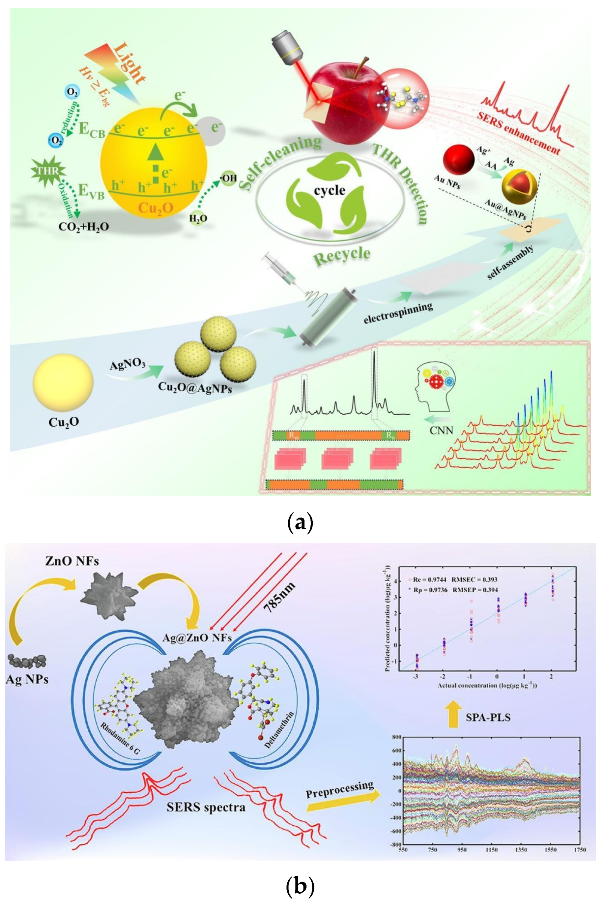 Nanomaterials 15 01634 g001