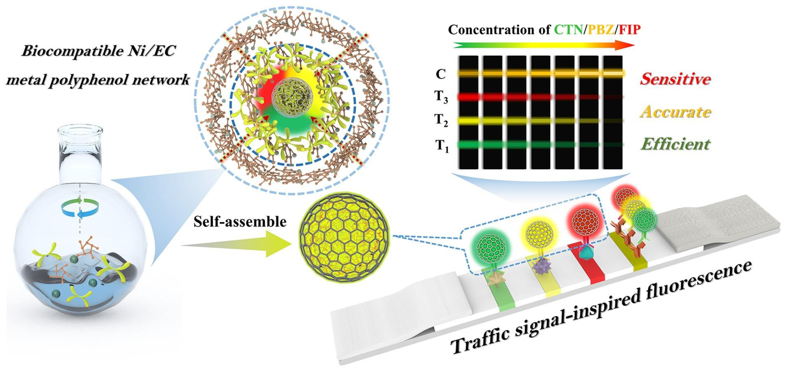 Nanomaterials 15 01634 g004