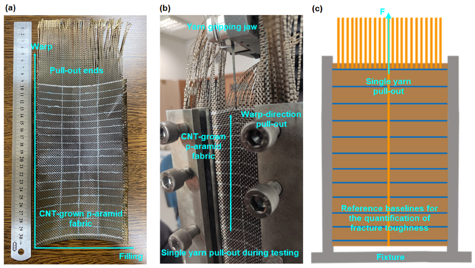 Nanomaterials 15 01637 g004