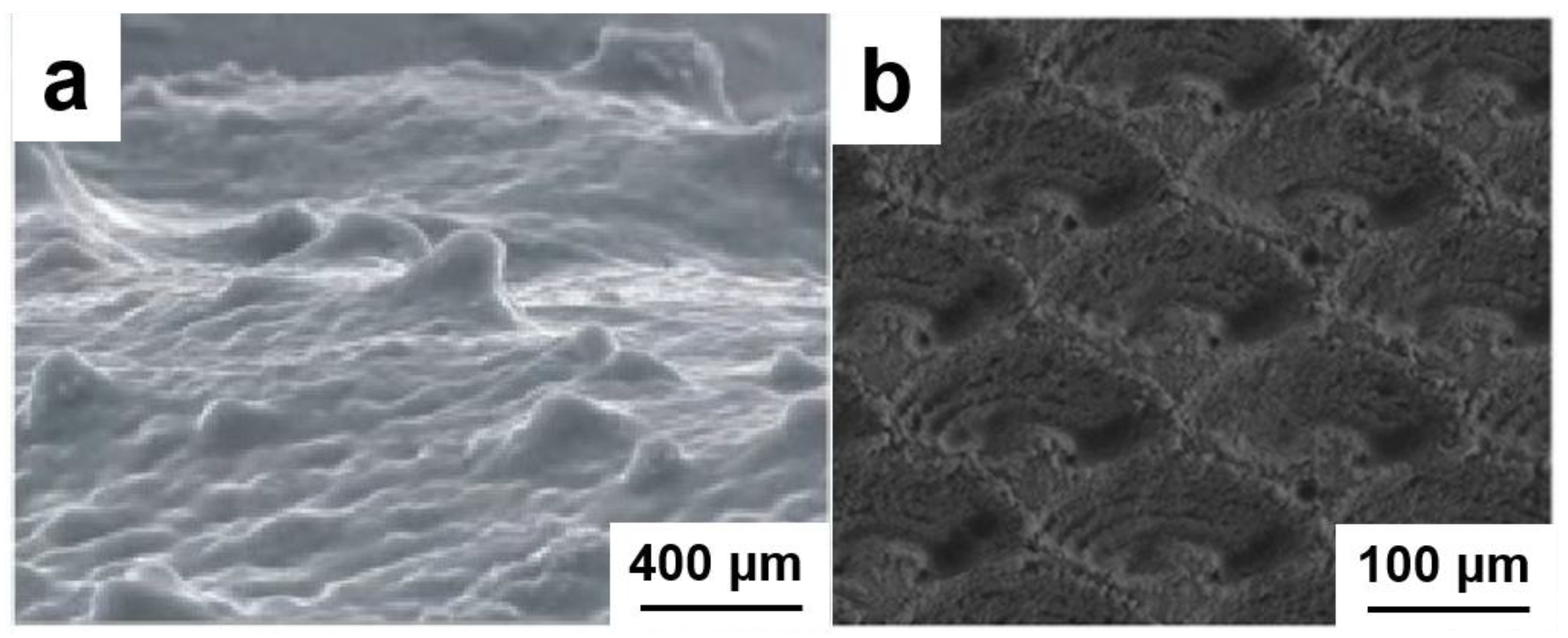 Nanomaterials 15 01647 g003