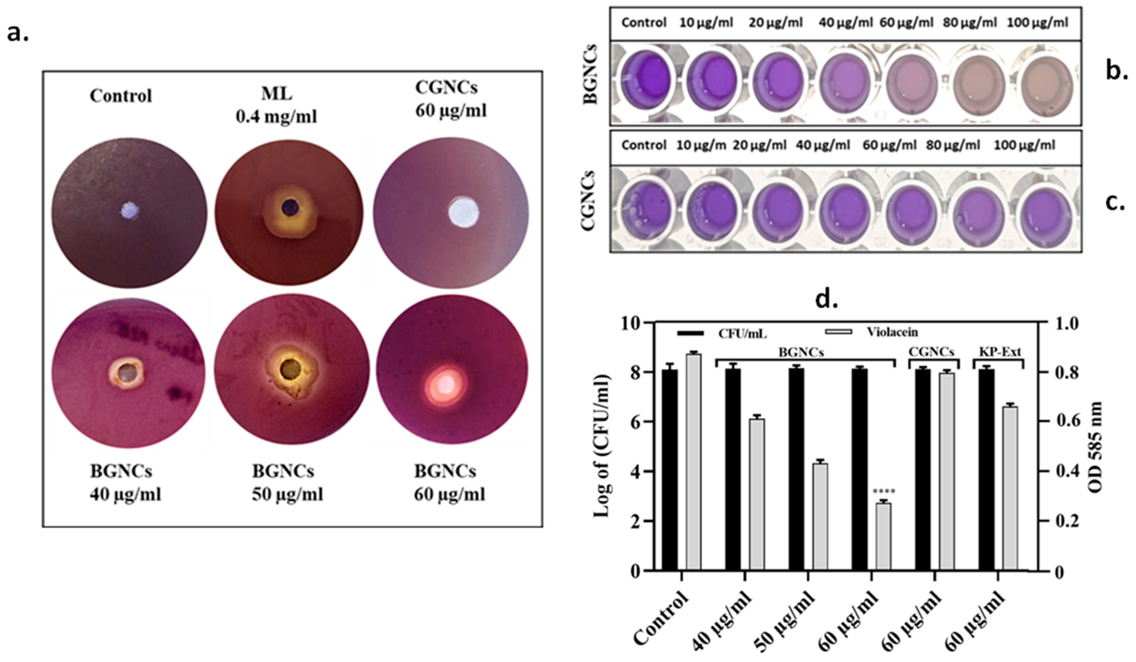 Nanomaterials 15 01648 g003