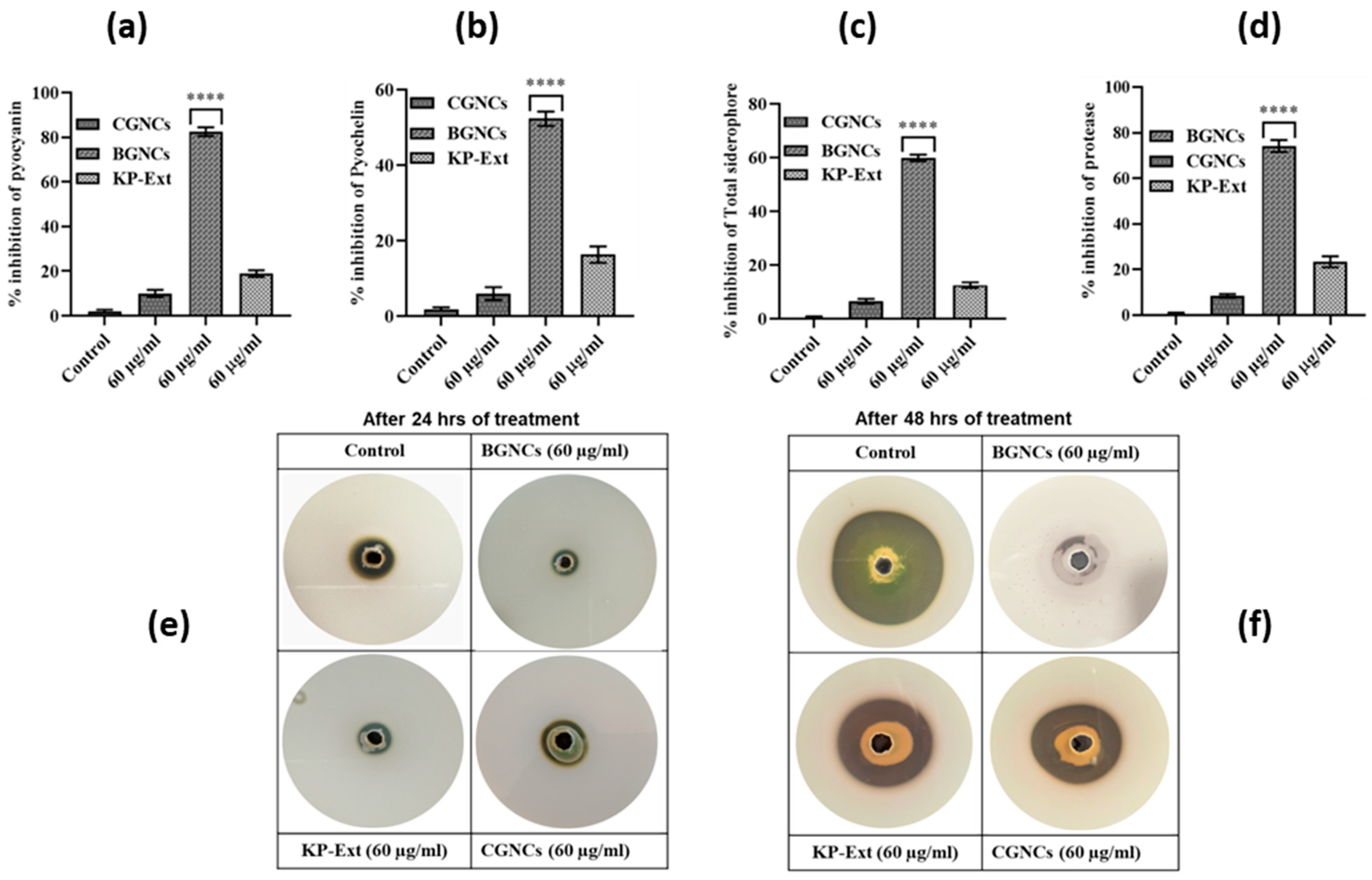 Nanomaterials 15 01648 g005