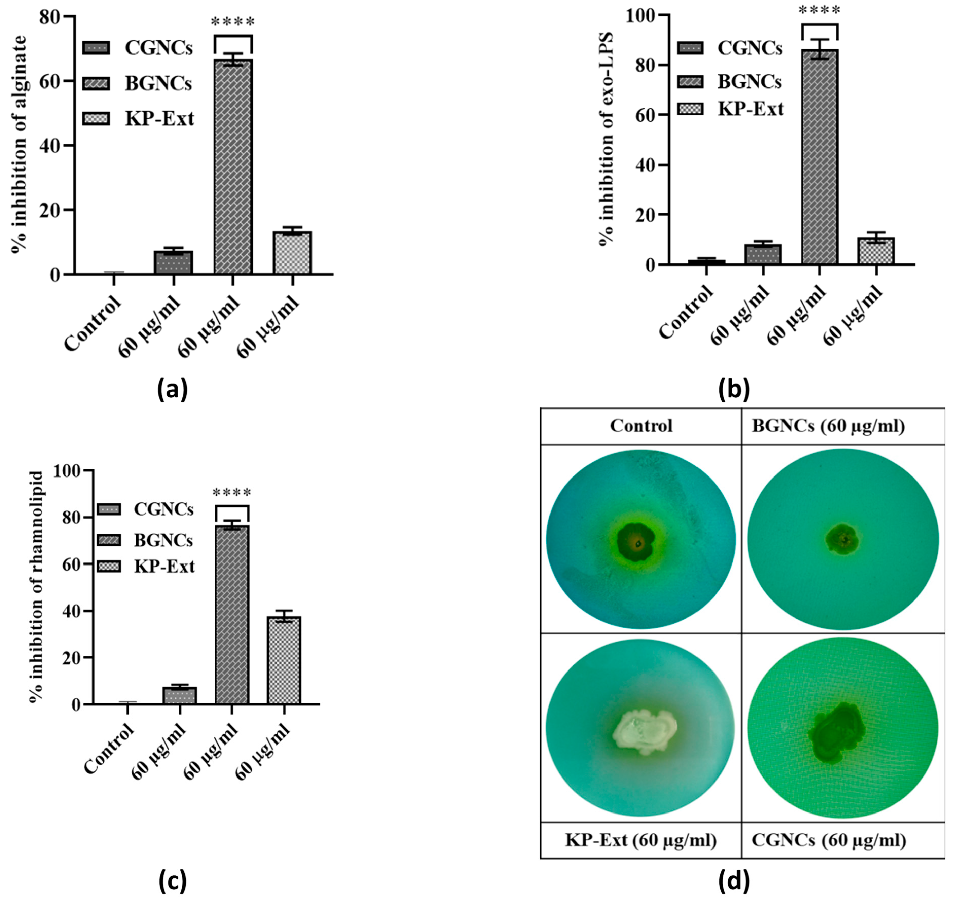 Nanomaterials 15 01648 g006