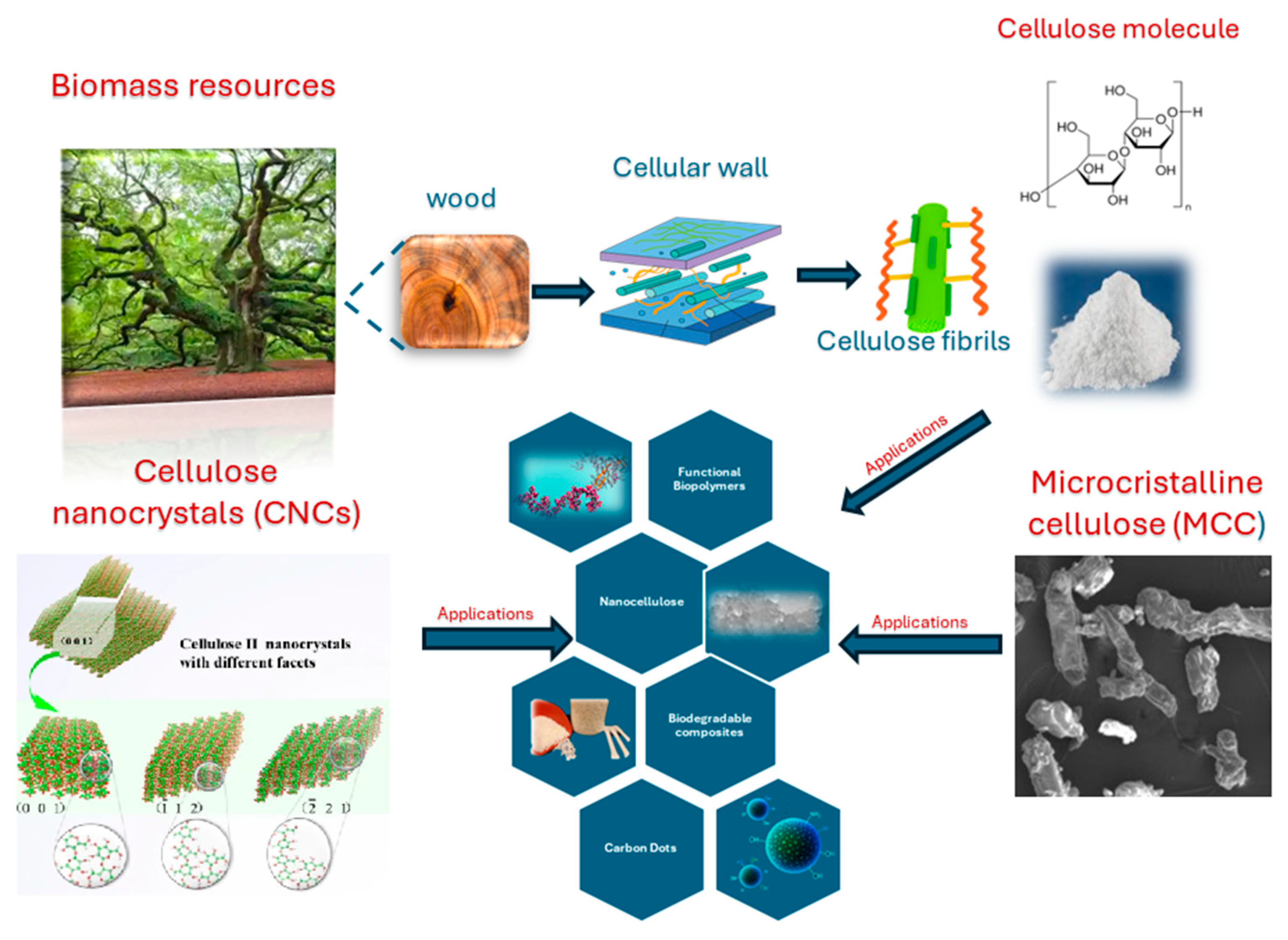 Nanomaterials 15 01649 g003