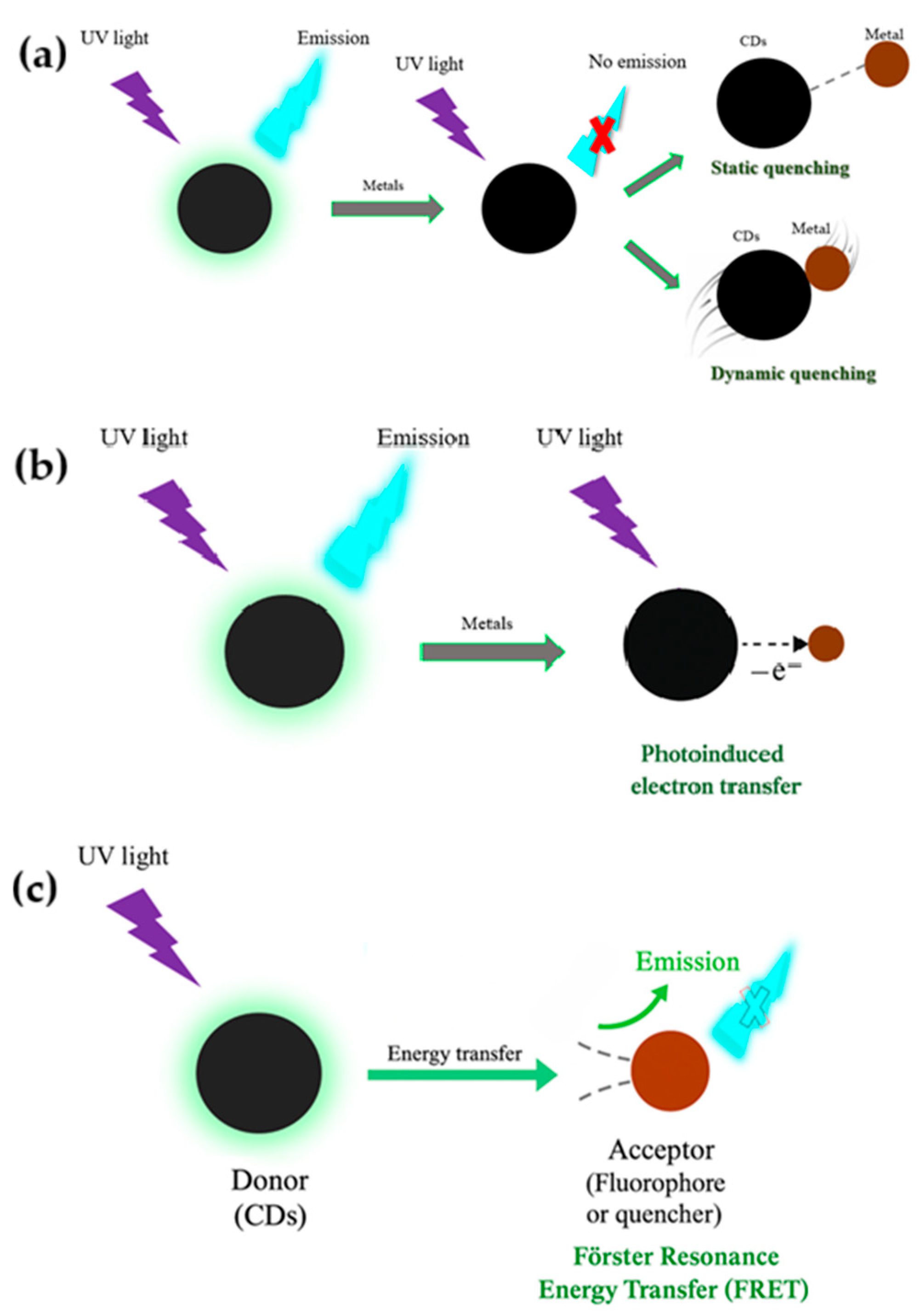 Nanomaterials 15 01649 g005