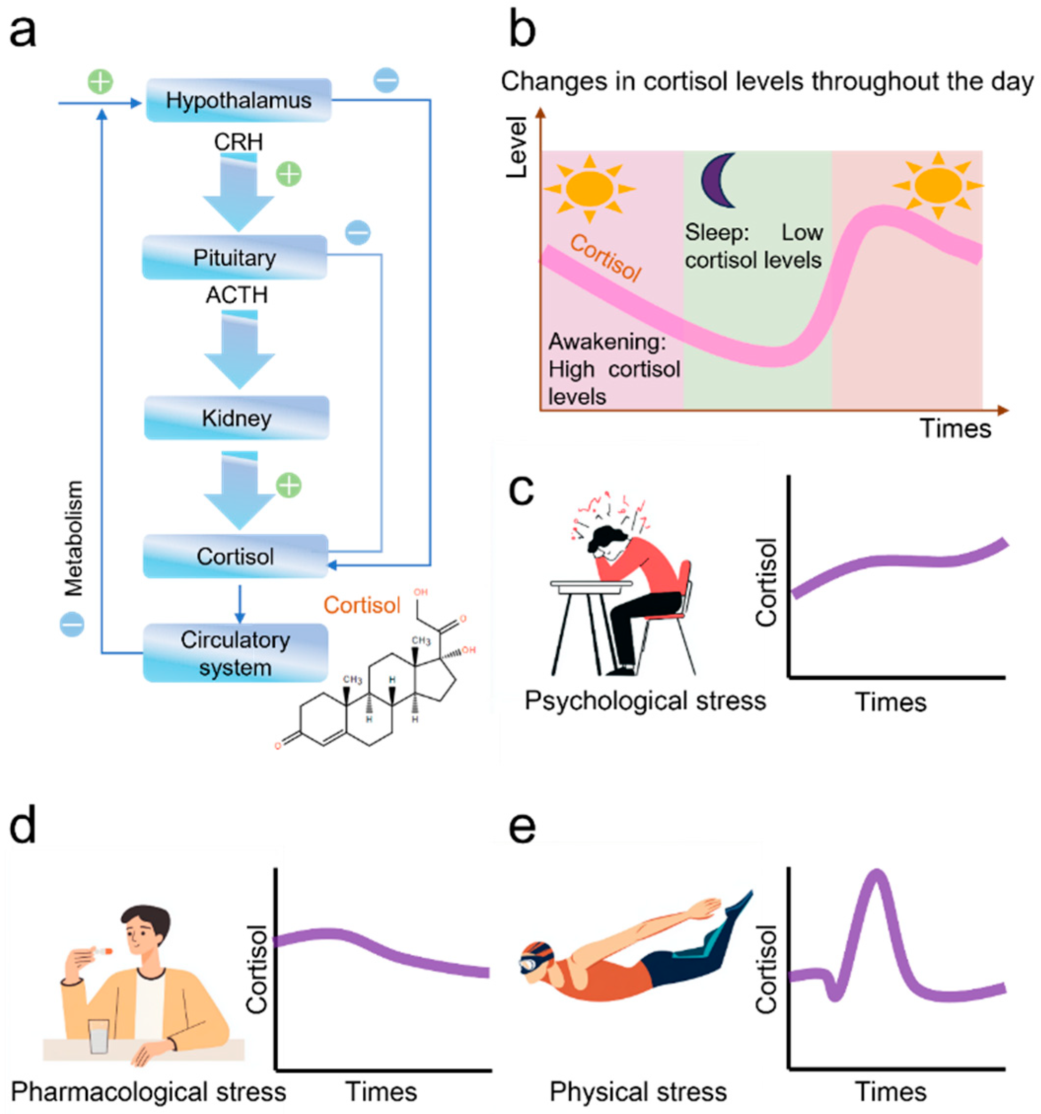 Nanomaterials 15 01654 g001 Nanomaterials 15 01654 g001