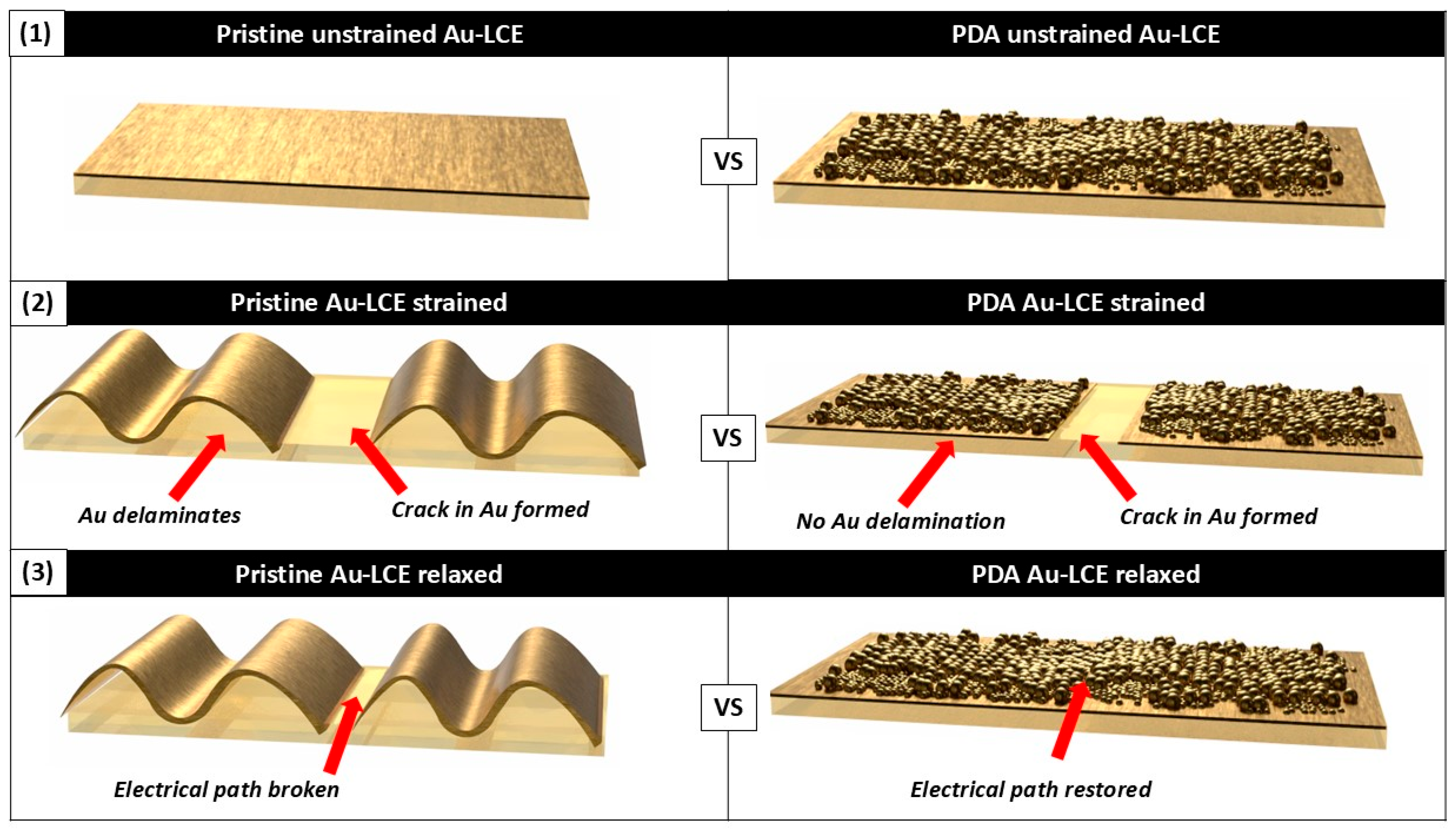 Nanomaterials 15 01658 g009