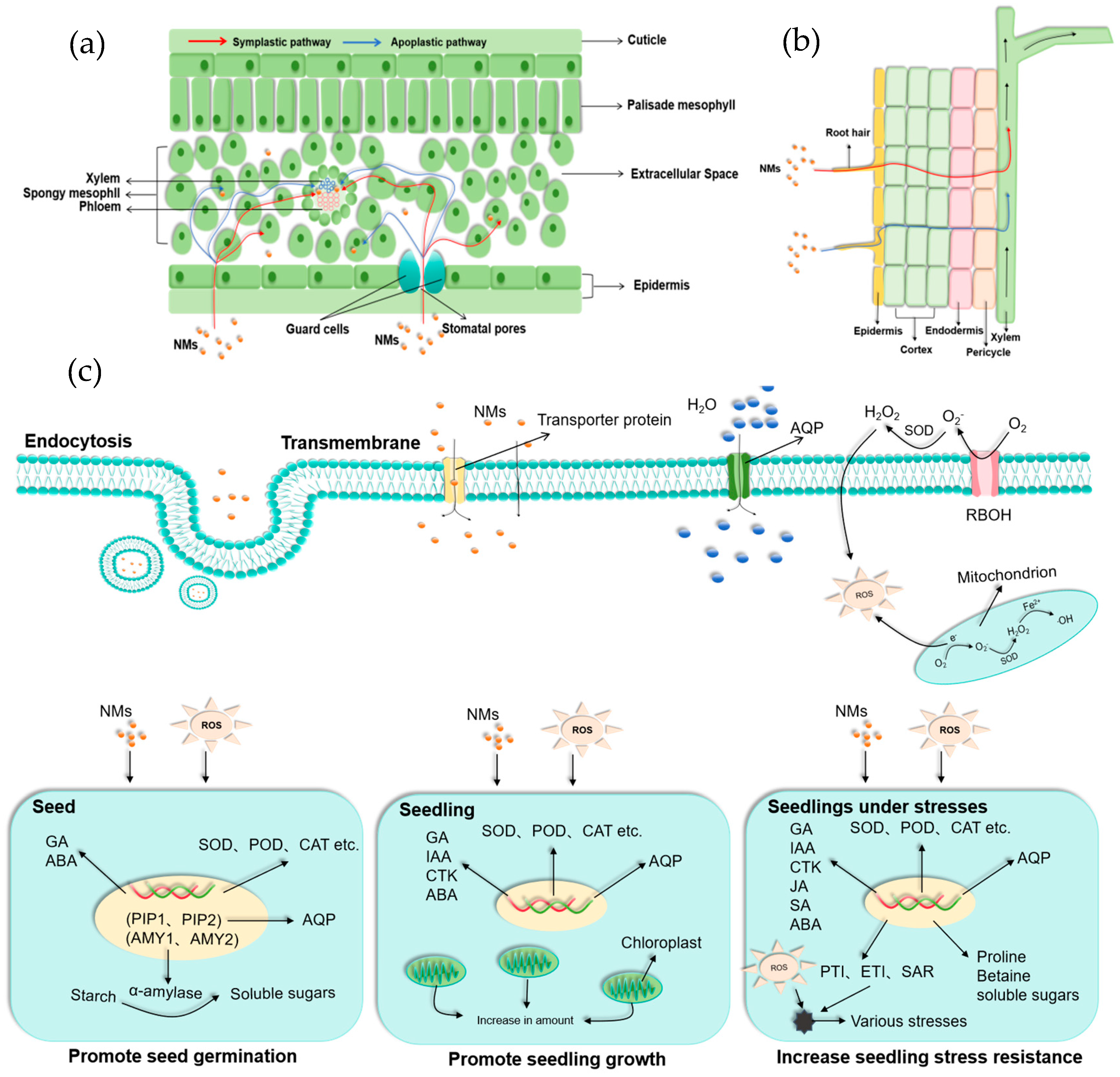 Nanomaterials 15 01659 g002