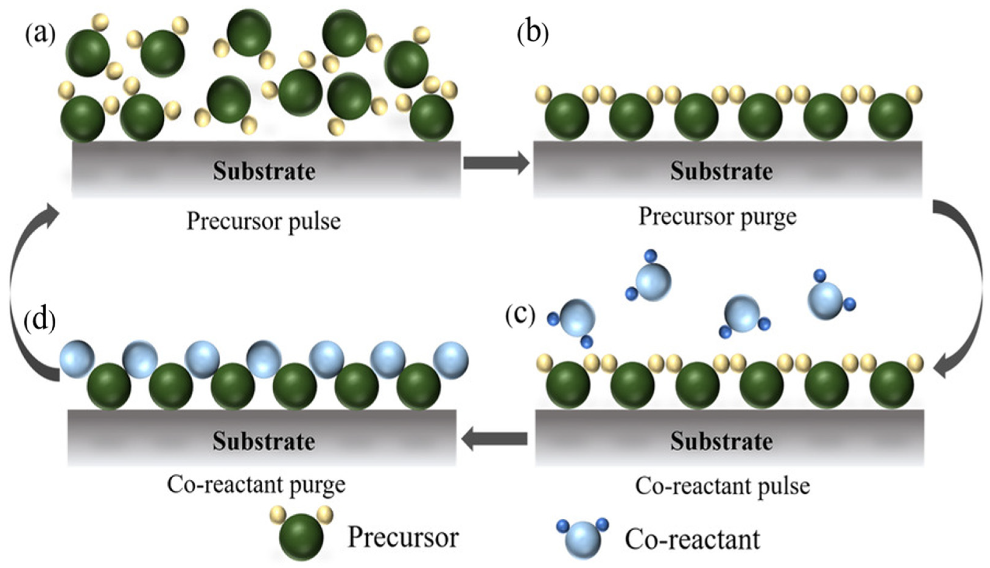 Nanomaterials 15 01674 g002