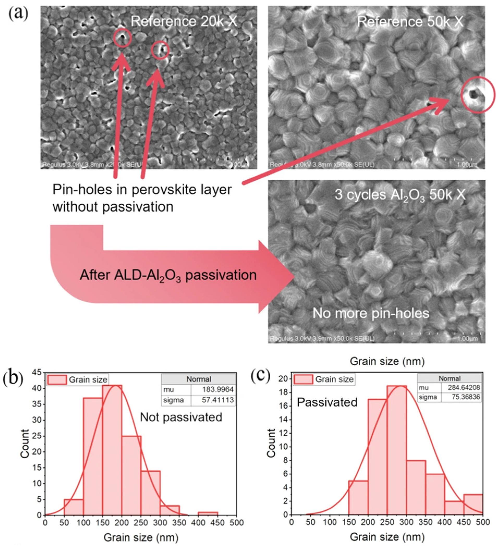 Nanomaterials 15 01674 g008