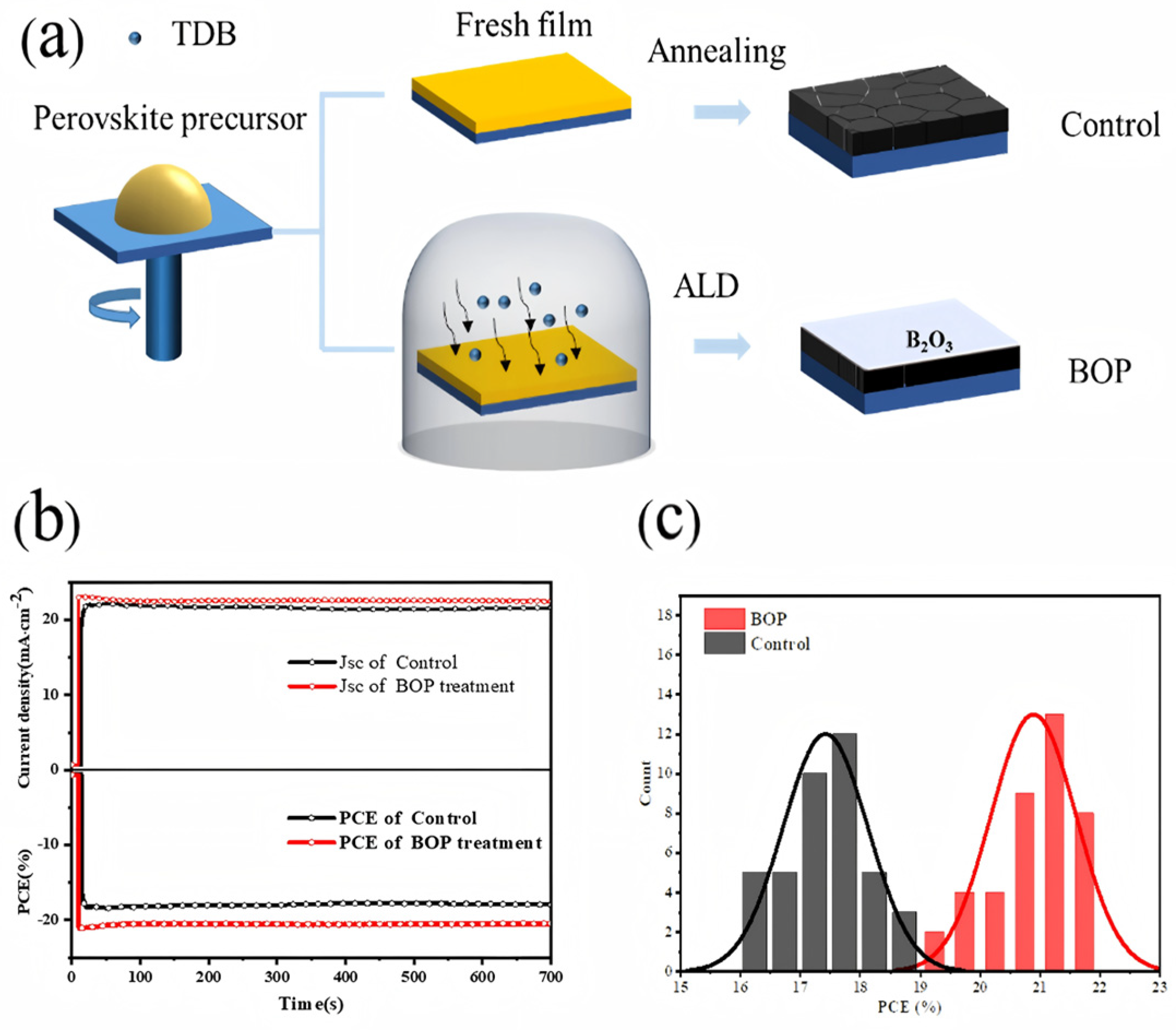 Nanomaterials 15 01674 g009