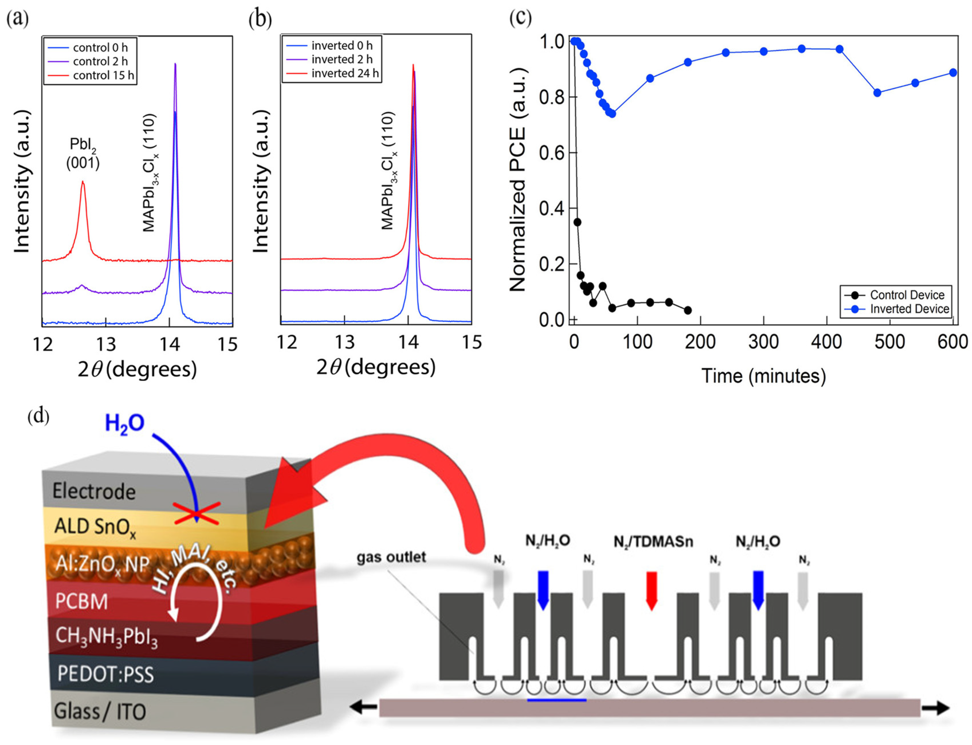 Nanomaterials 15 01674 g010