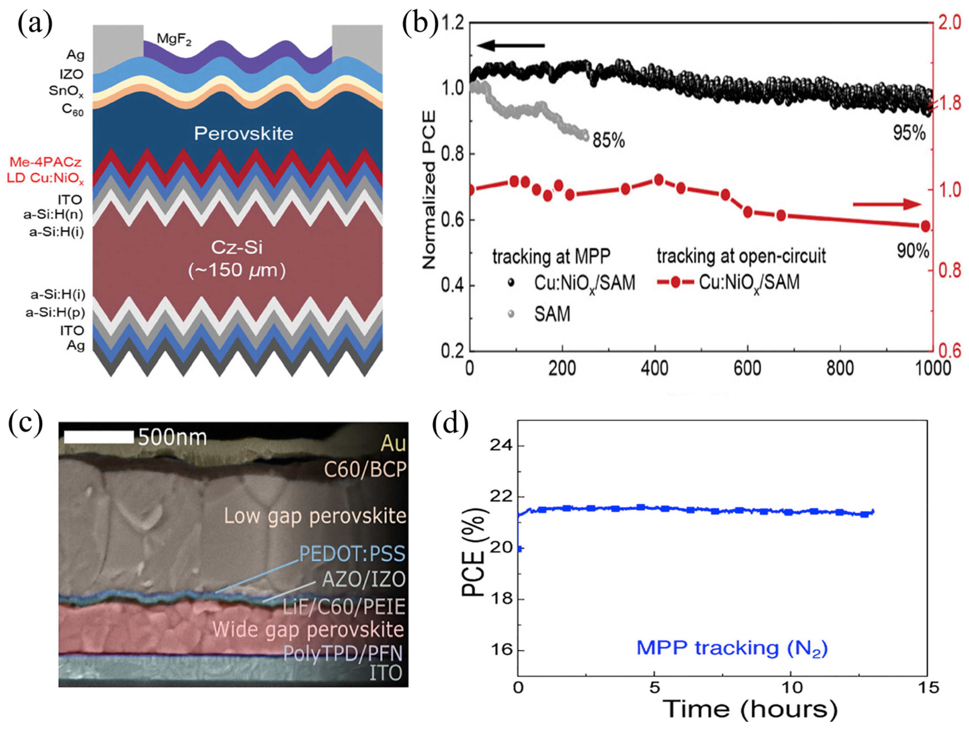 Nanomaterials 15 01674 g012