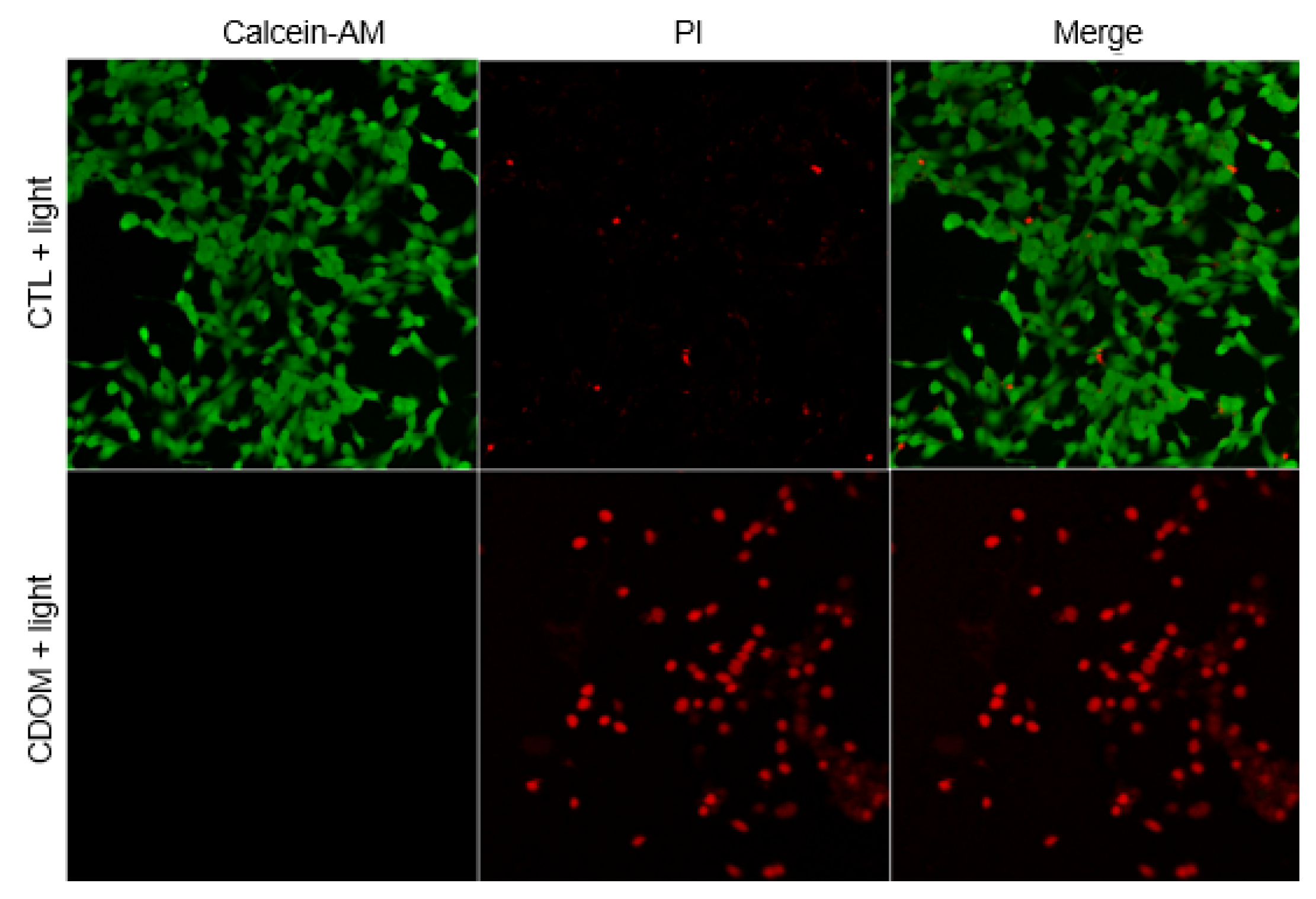 Nanomaterials 15 01677 g008