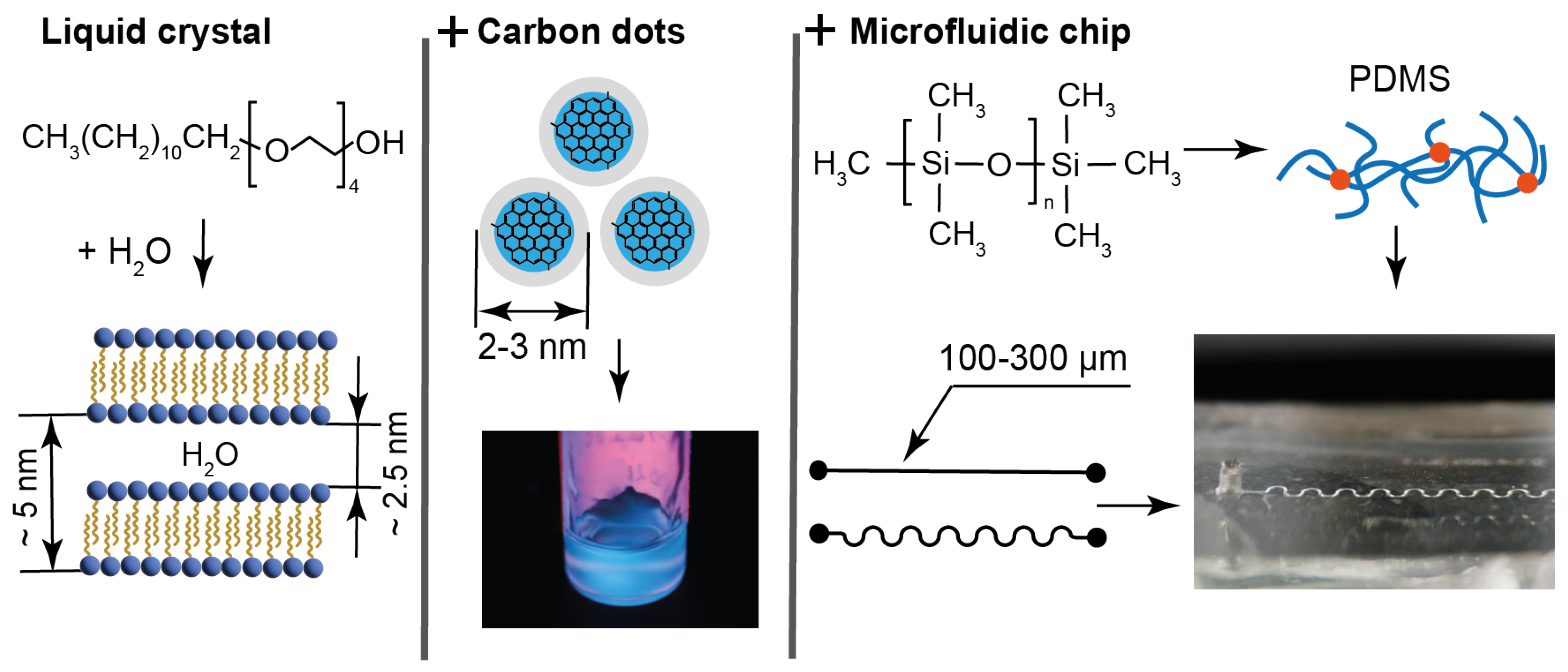 Nanomaterials 15 01682 g001